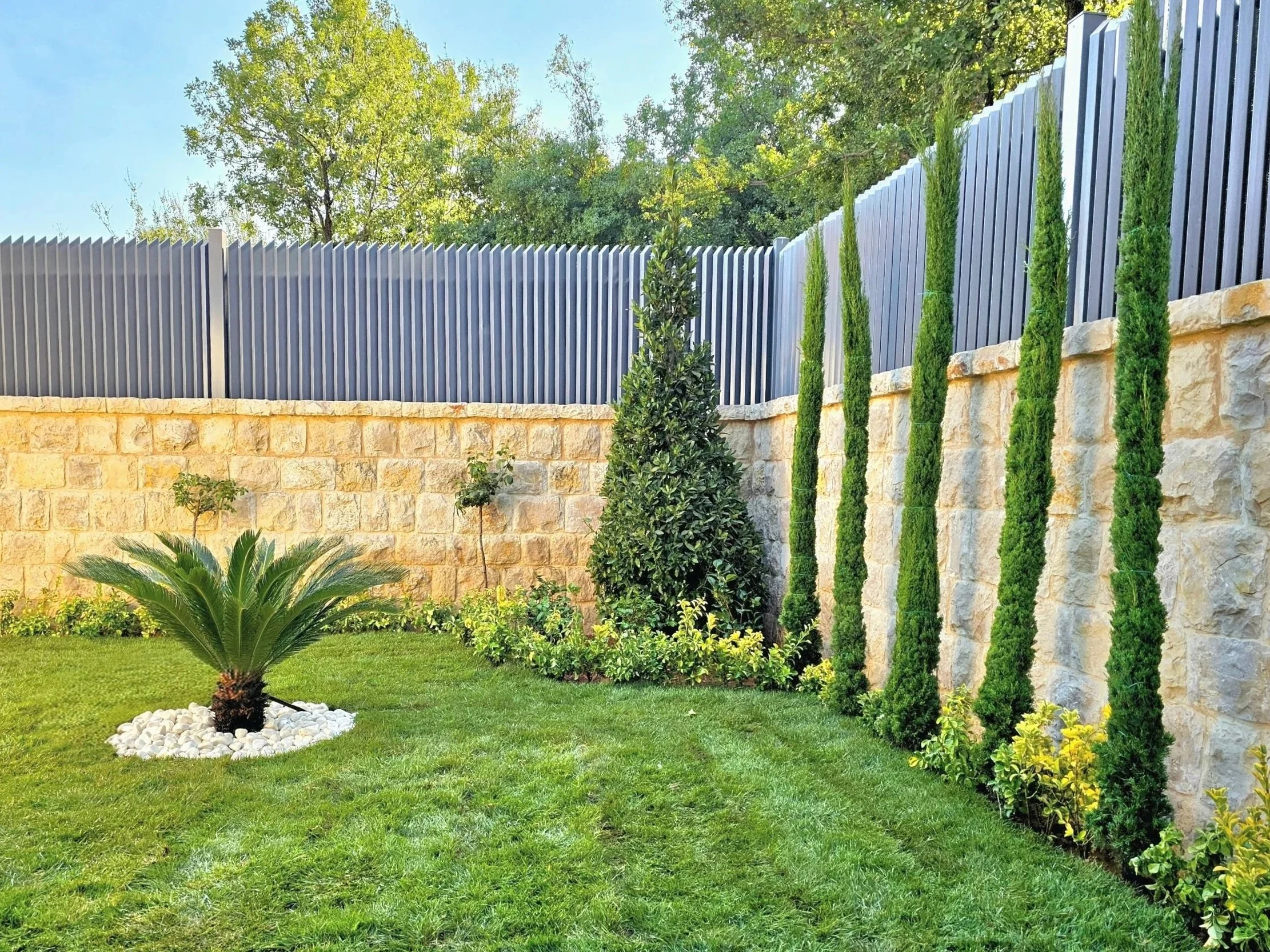 Well-maintained backyard with green grass, a small palm plant surrounded by white stones, a neatly trimmed bush, and a row of tall, thin evergreen trees along a stone wall. There is a metal fence and big trees in the background under a clear blue sky
