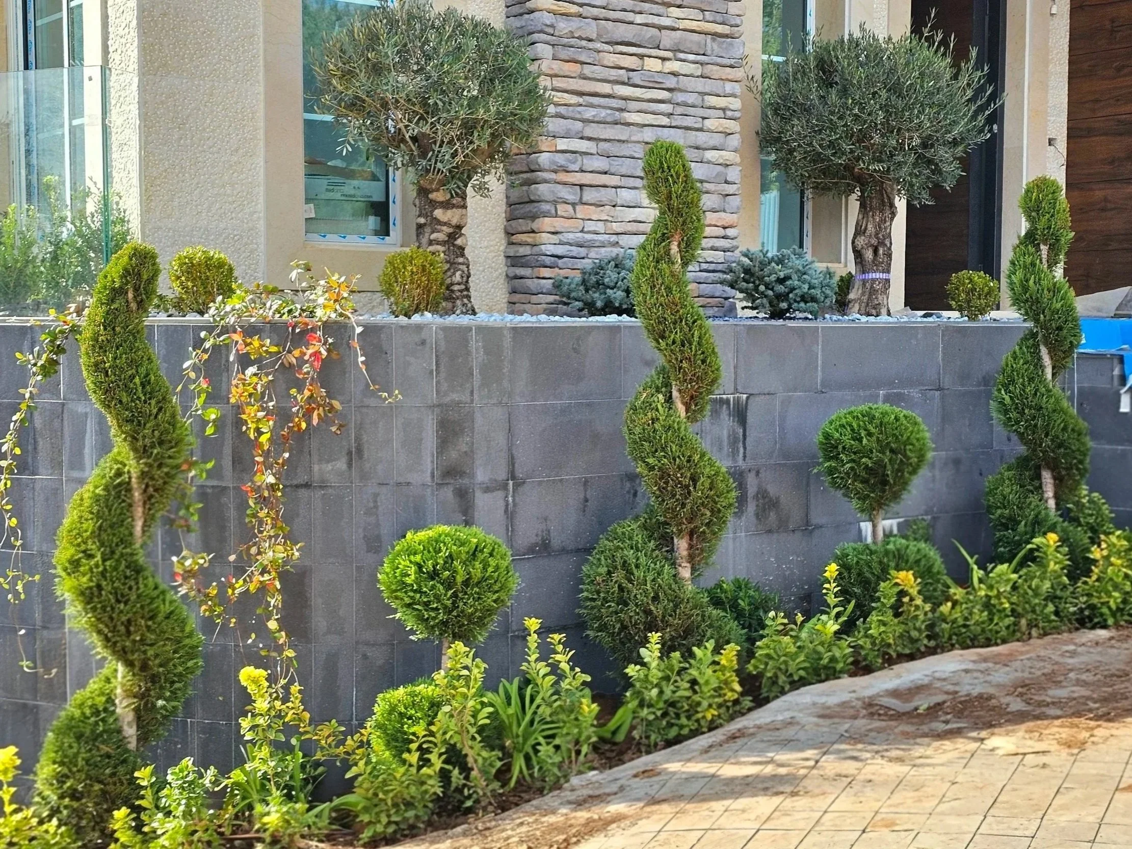 Landscape with a variety of small, shaped bushes and trees in front of a modern house with a stone and wooden exterior wall. There is a paved walkway in the foreground.