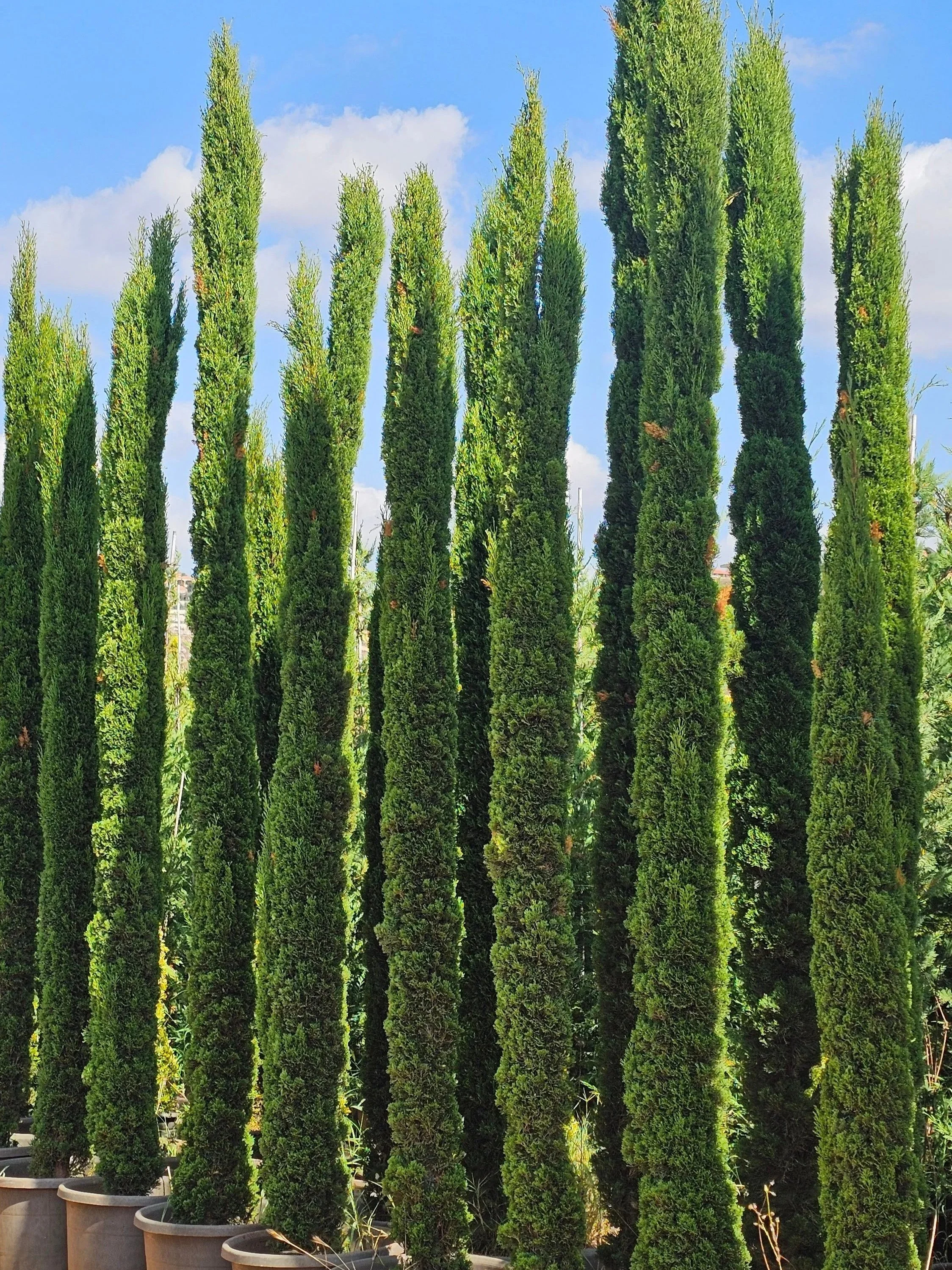 20260708_155301.jpg