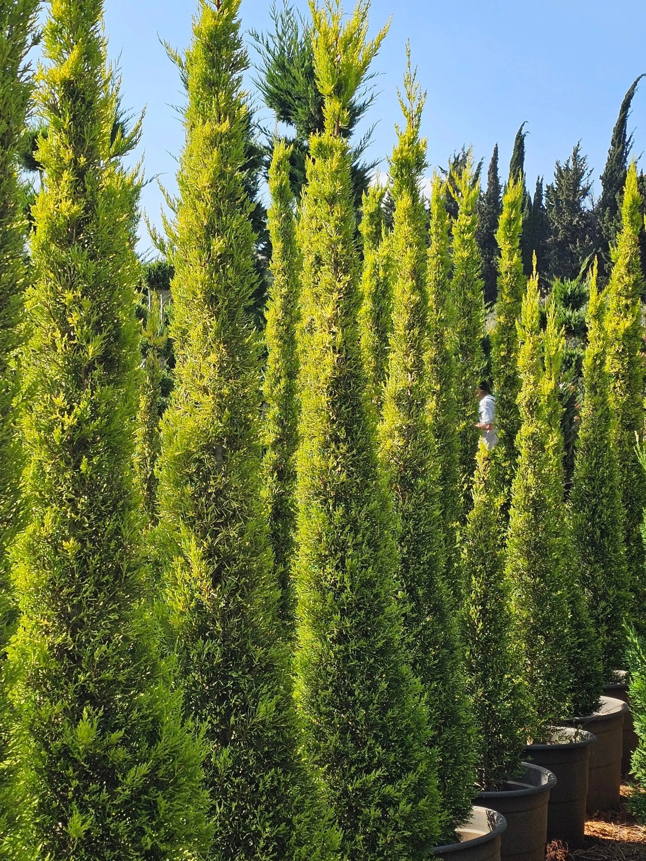 20260708_163955.jpg