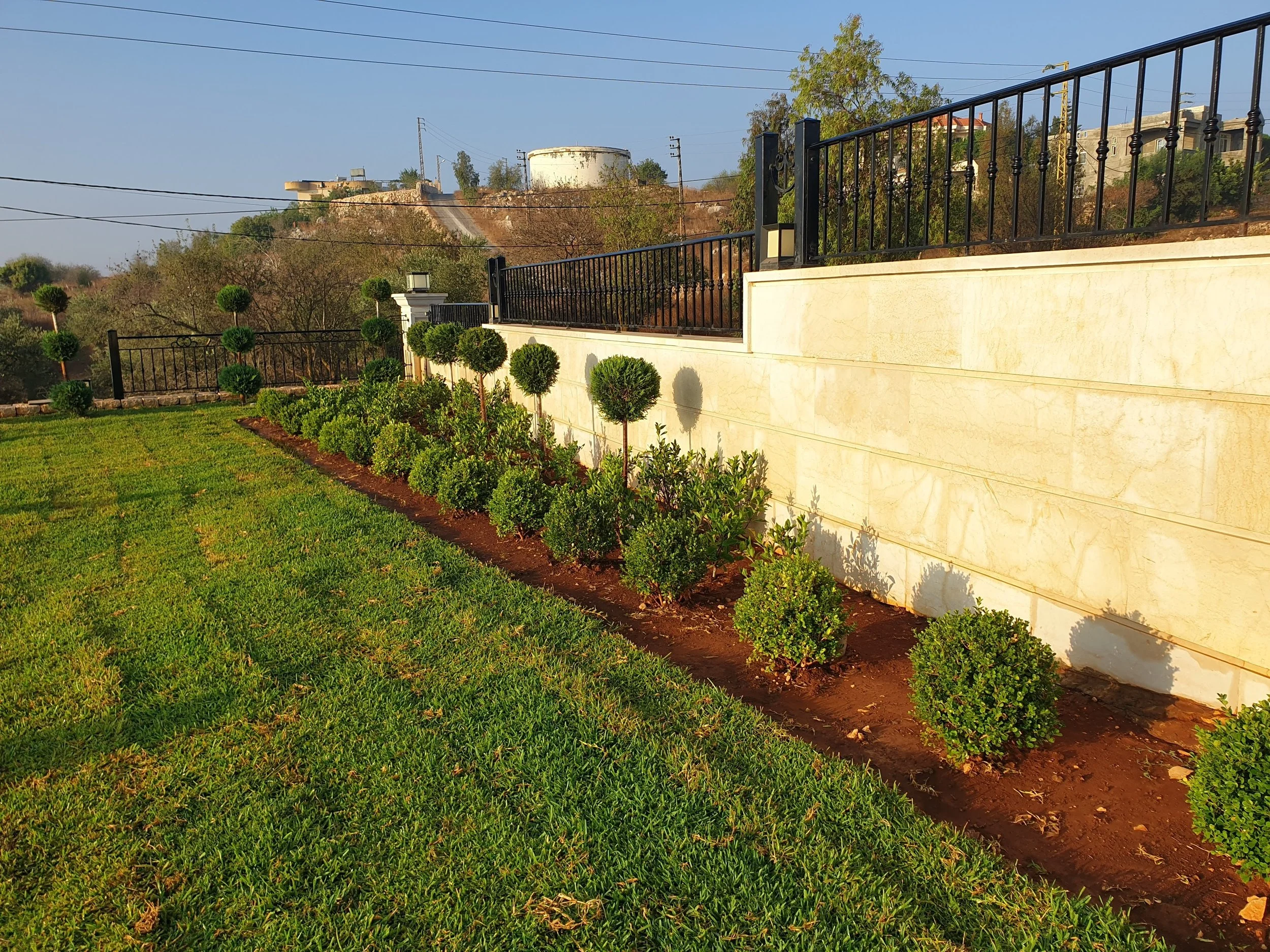 A landscaped yard with a green lawn, neatly trimmed bushes, a stone wall, and a black metal fence. In the background, a hill with trees and buildings, stairway, and utility poles.