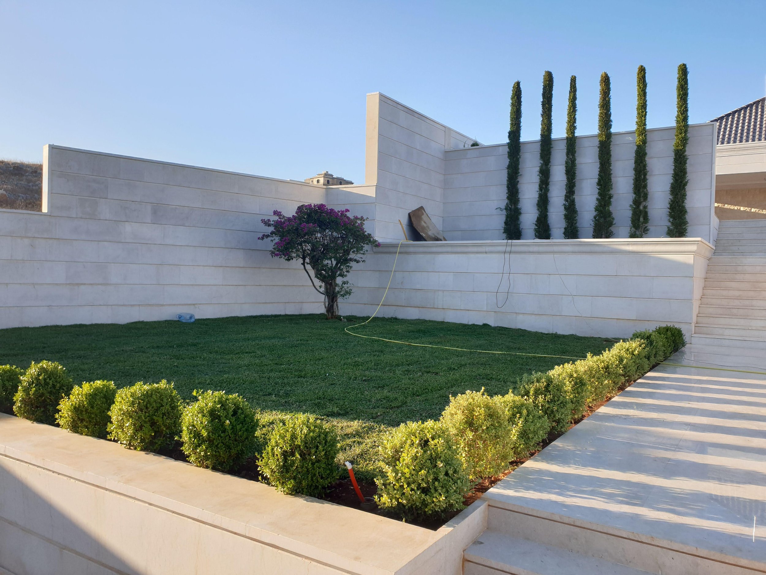 A modern white concrete wall with a small tree and a purple flowering bush in front, tall slender green trees behind, and clear blue sky above.