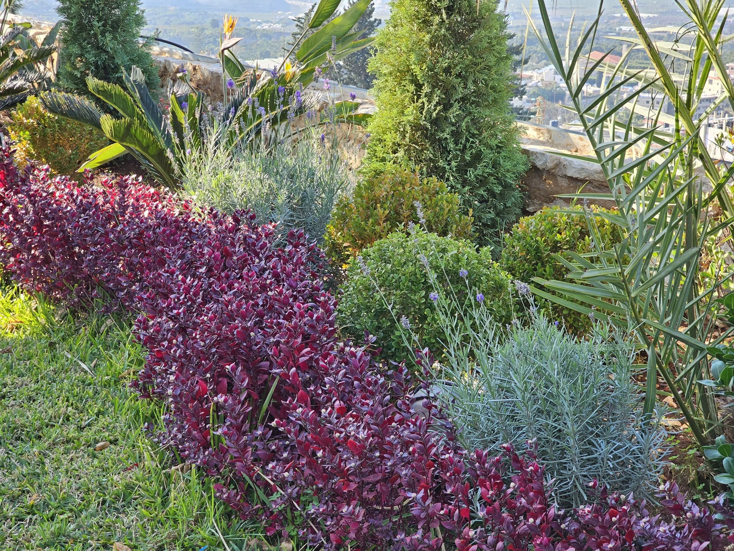 Garden with lush green shrubs, colorful flowering plants, and a hillside view in the background.
