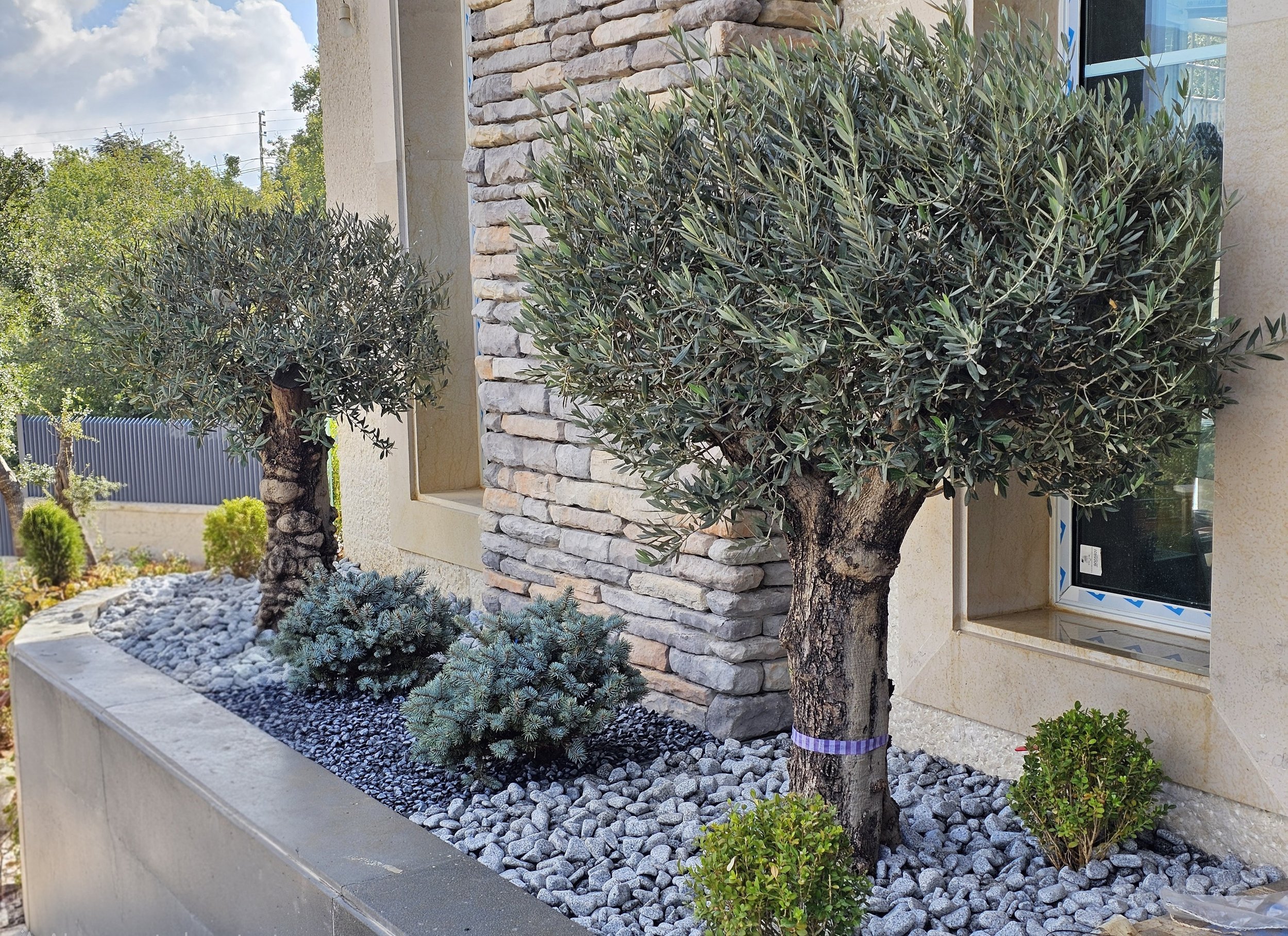 Exterior view of a modern house garden with trees, shrubs, and decorative rocks, featuring a stone wall with a window, under a partly cloudy sky.