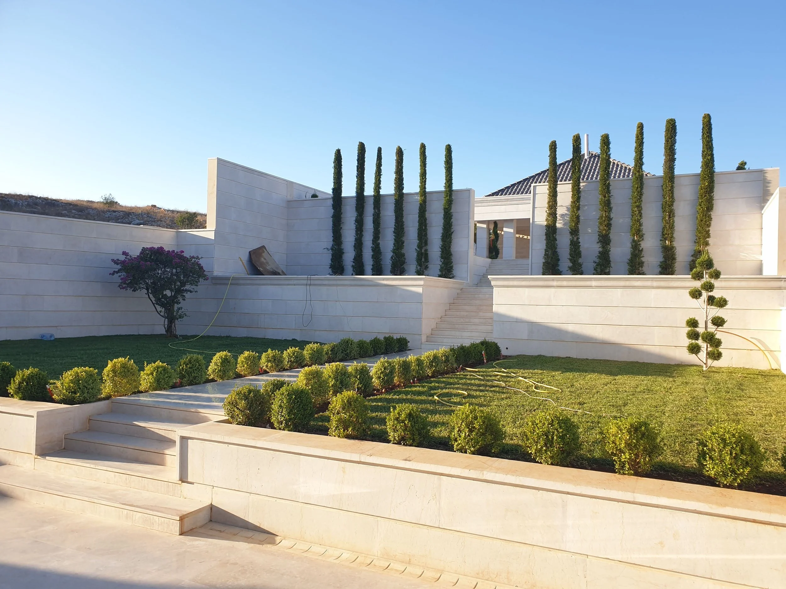 A modern white building with tall, narrow cypress trees lining the front. There are steps leading up to the entrance, and the landscaping includes small, round bushes and a flowering tree. The sky is clear and blue.