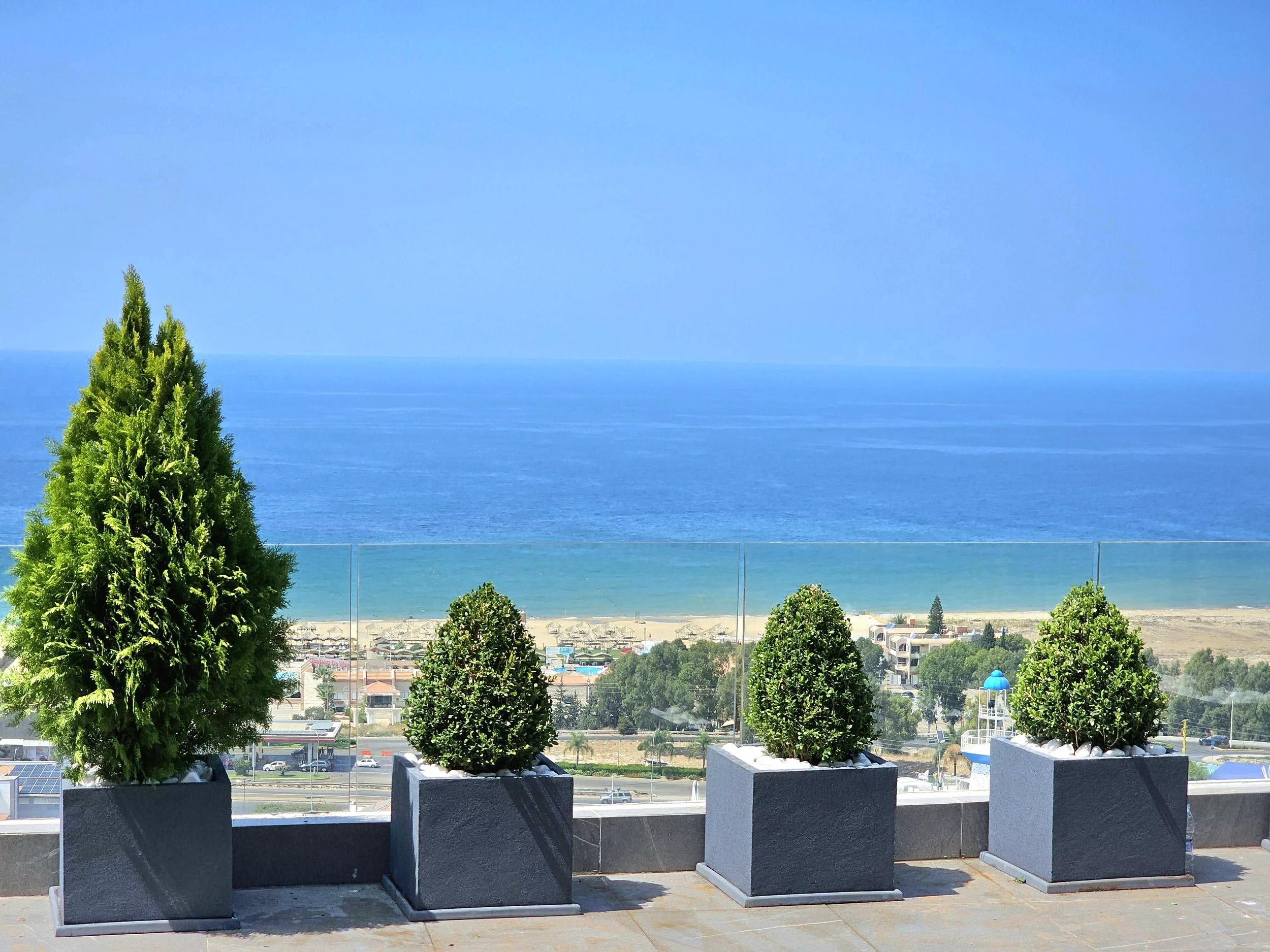 Four potted evergreen trees on a balcony overlooking a cityscape with the ocean in the background under a clear blue sky.