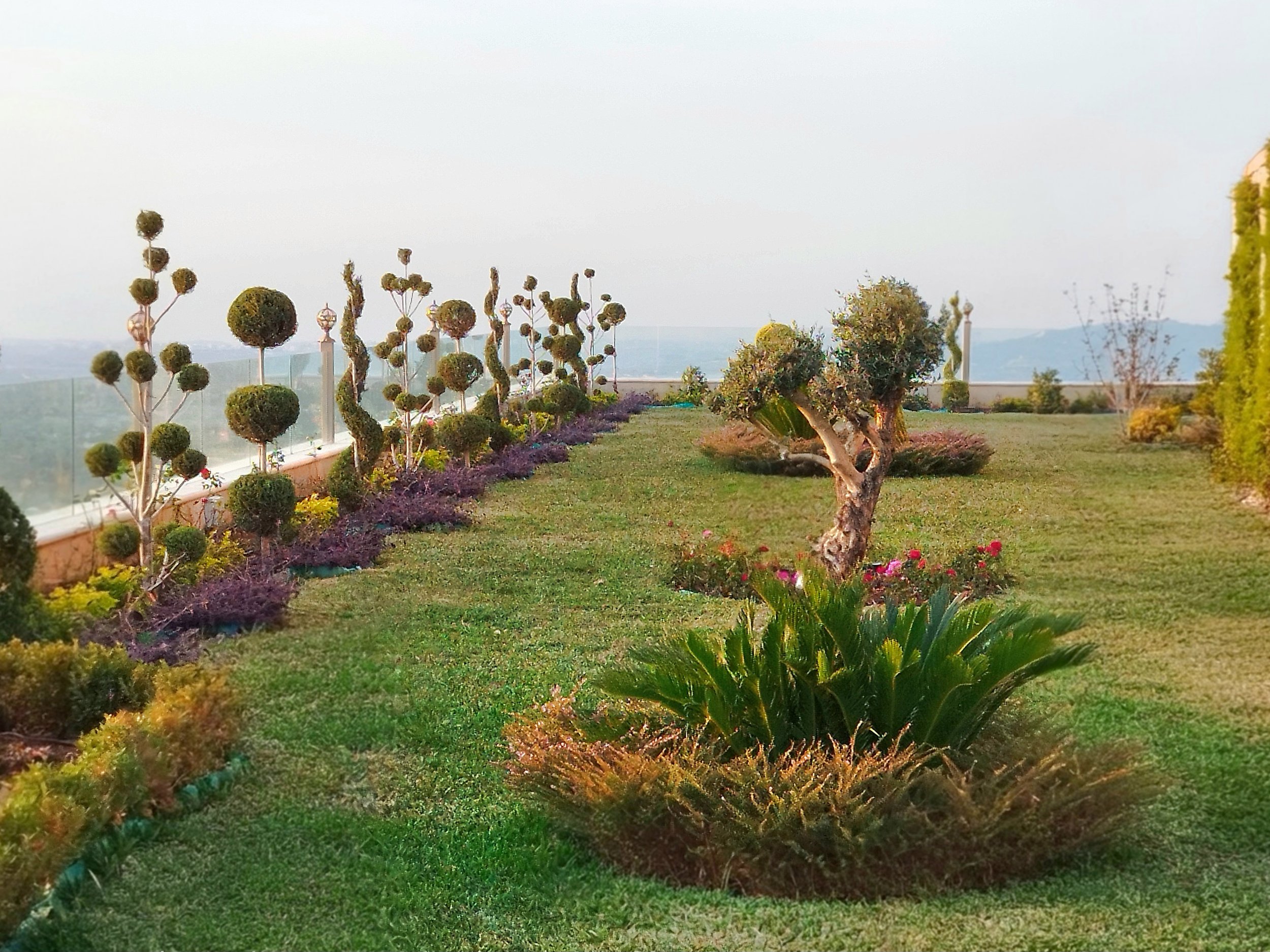 Garden with topiary trees, flowering shrubs, and a glass fence overlooking a landscape, under a cloudy sky.