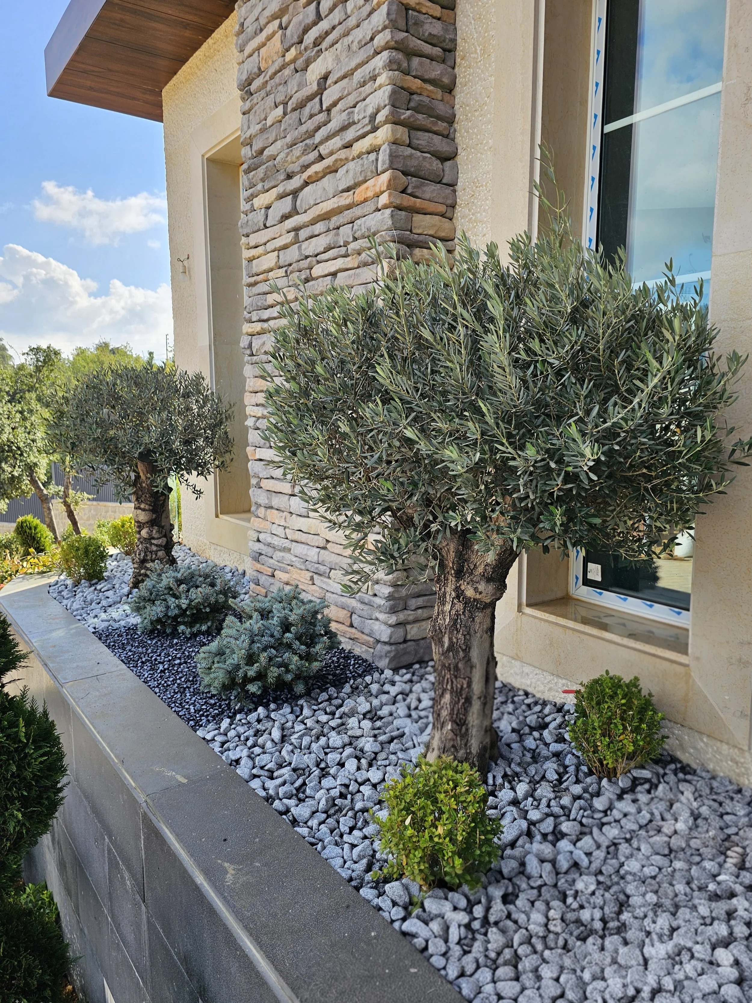A modern house exterior featuring a stone accent wall and a large window, with a landscaped garden bed containing small shrubs, trees, and decorative rocks.