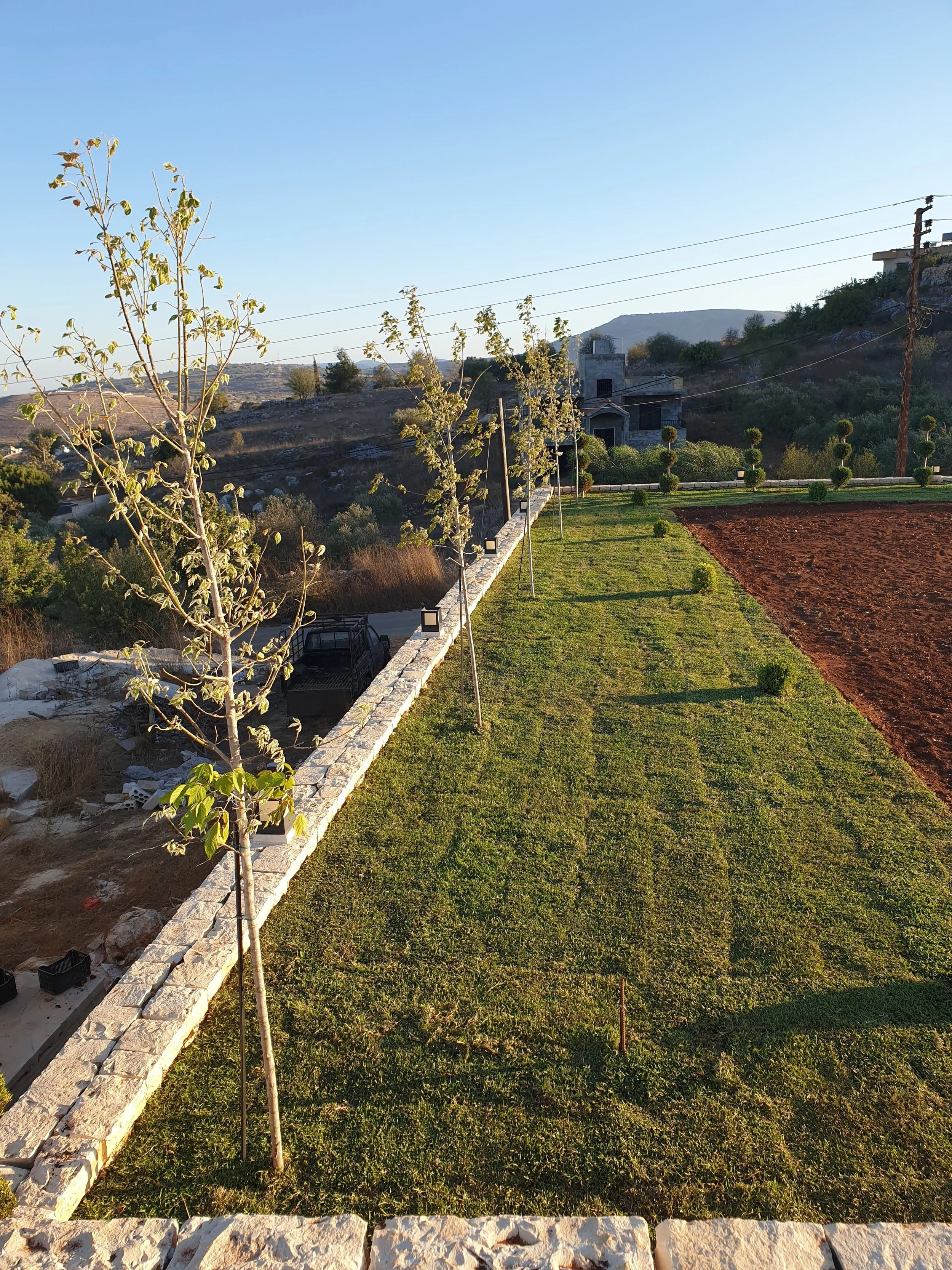 A landscaped yard with young trees, a stone border, a grassy area, a small field, and a house with a mountain in the background under a clear blue sky.