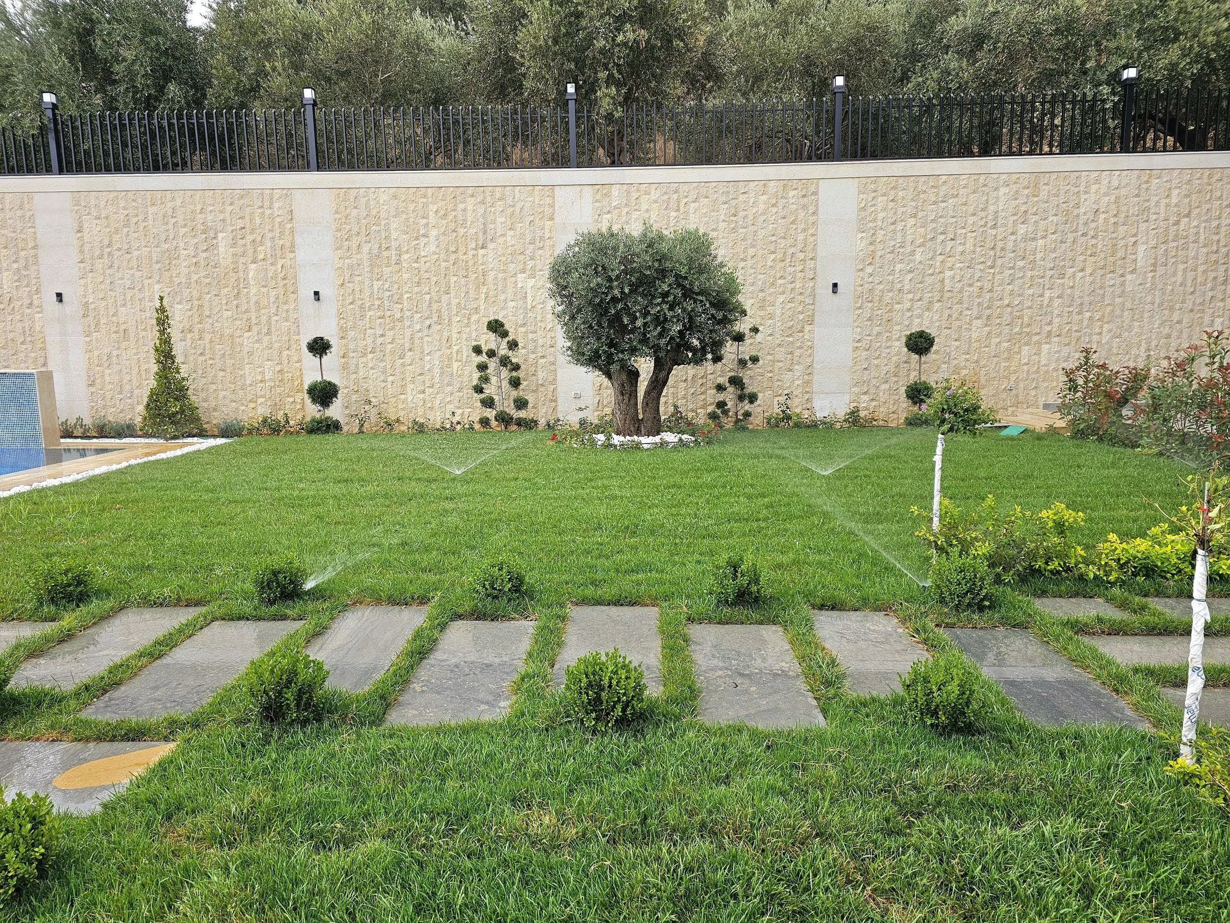 A backyard garden with a manicured lawn, small trees, and shrubs in front of a beige stone wall and black metal fence.