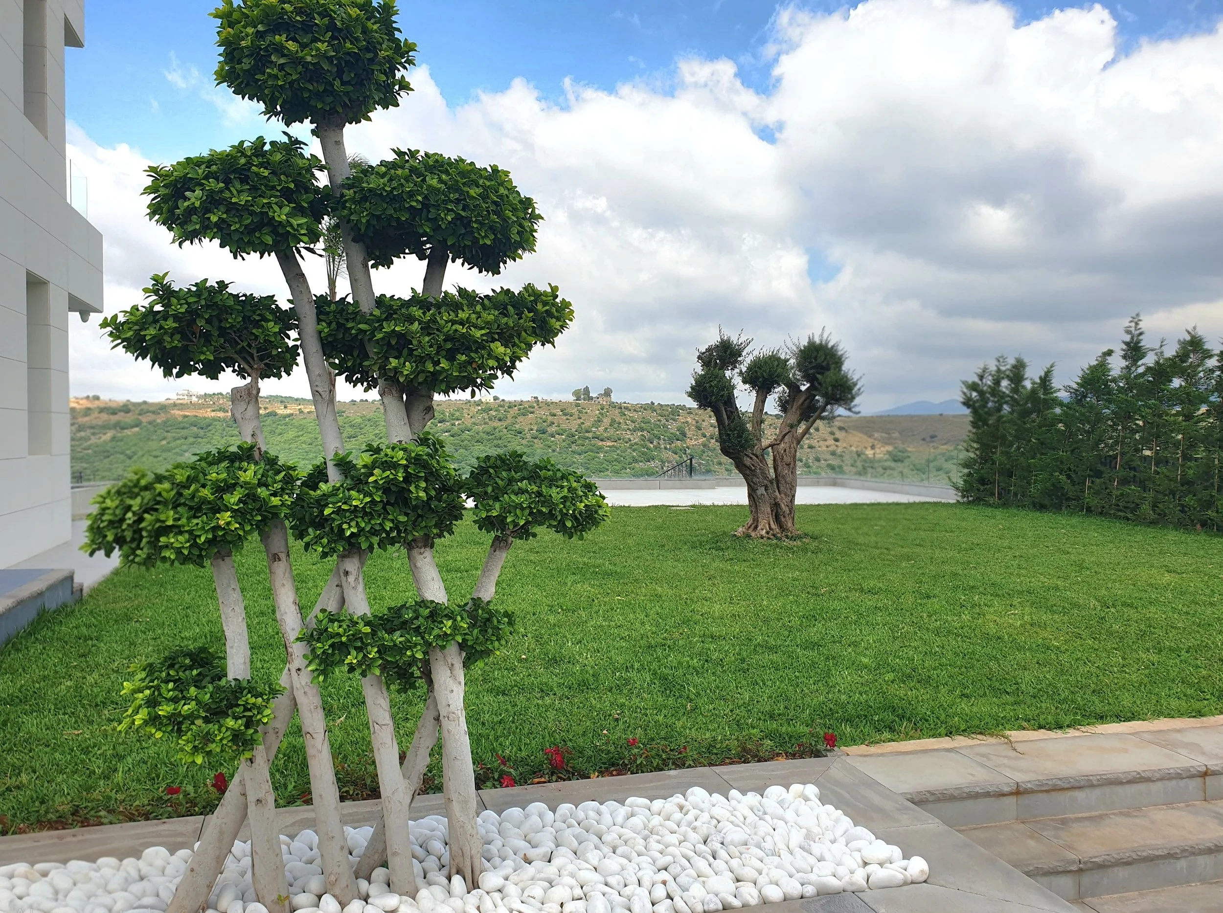 A landscaped garden with ornamental trees, green grass, a white building edge on the left, a paved stone walkway, and a mountain view in the background under a partly cloudy sky.