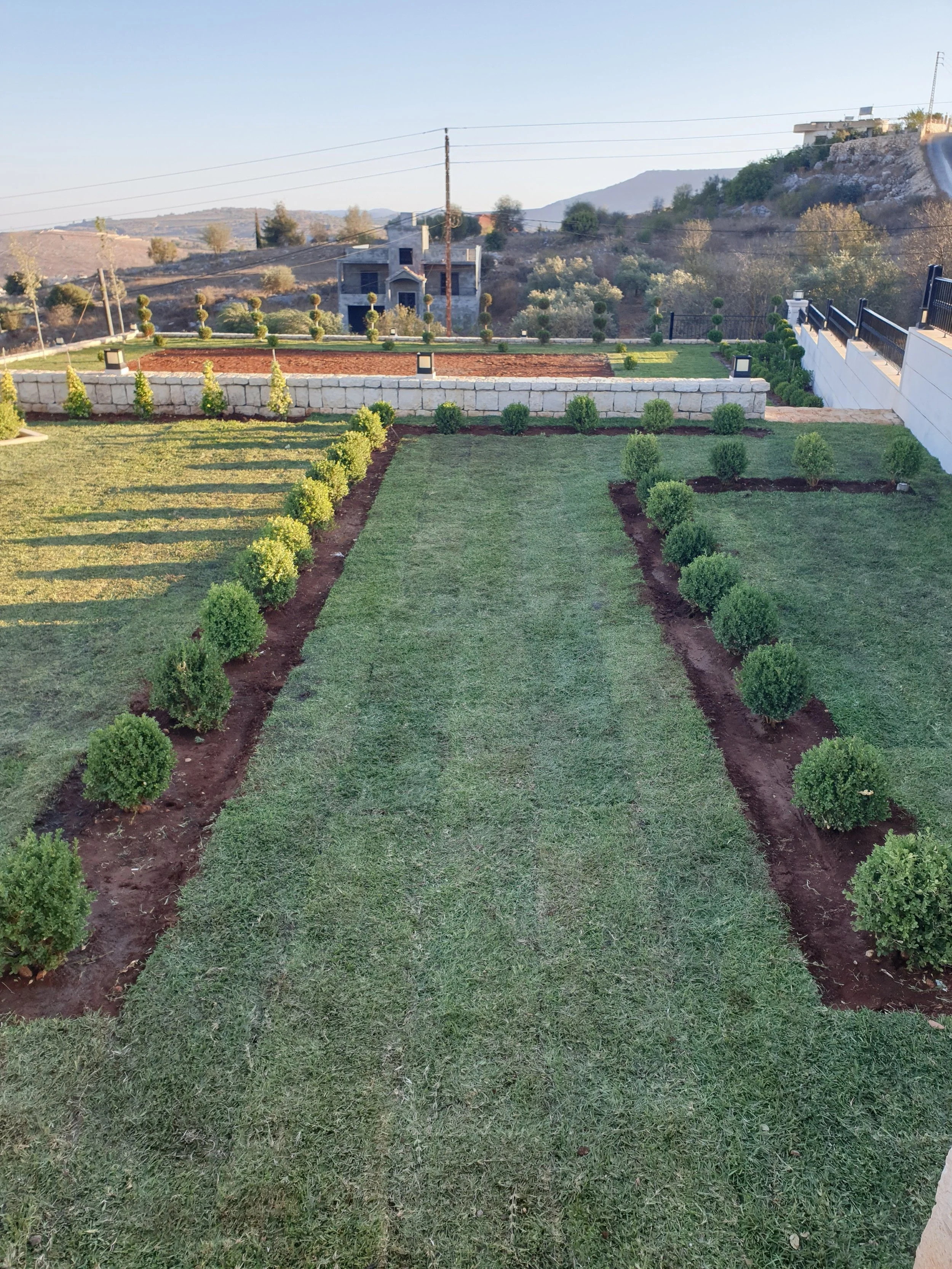 View of a landscaped backyard with two parallel rows of small, round bushes on either side of a grassy lawn, with a stone wall and topiary trees in the background, in front of hills and a partially constructed building.