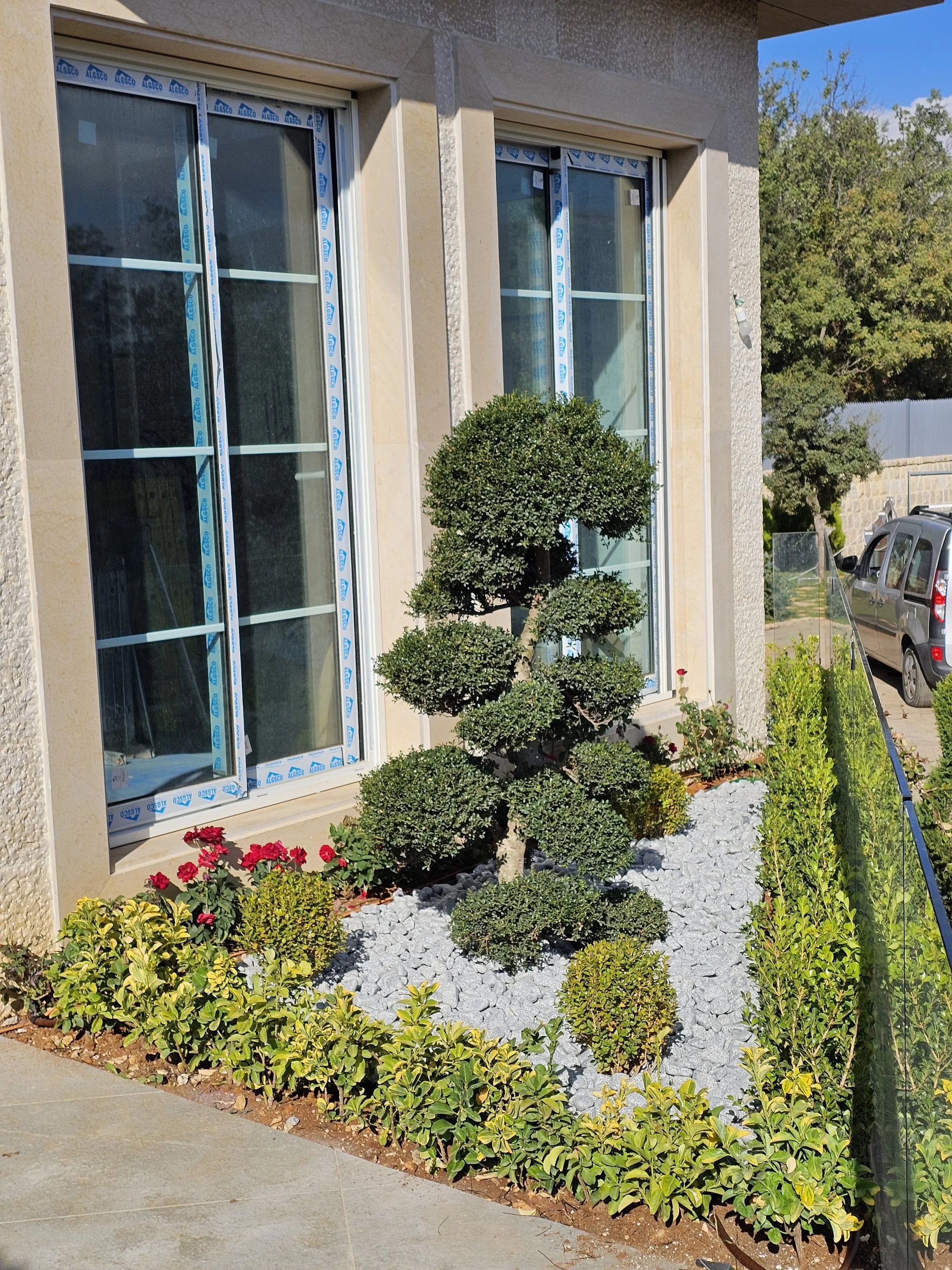 Front yard garden with various shrubs, a small tree, flowering plants, and gravel, next to a house with large sliding glass doors with blue protective stickers, and a driveway with parked vehicles under a clear blue sky.