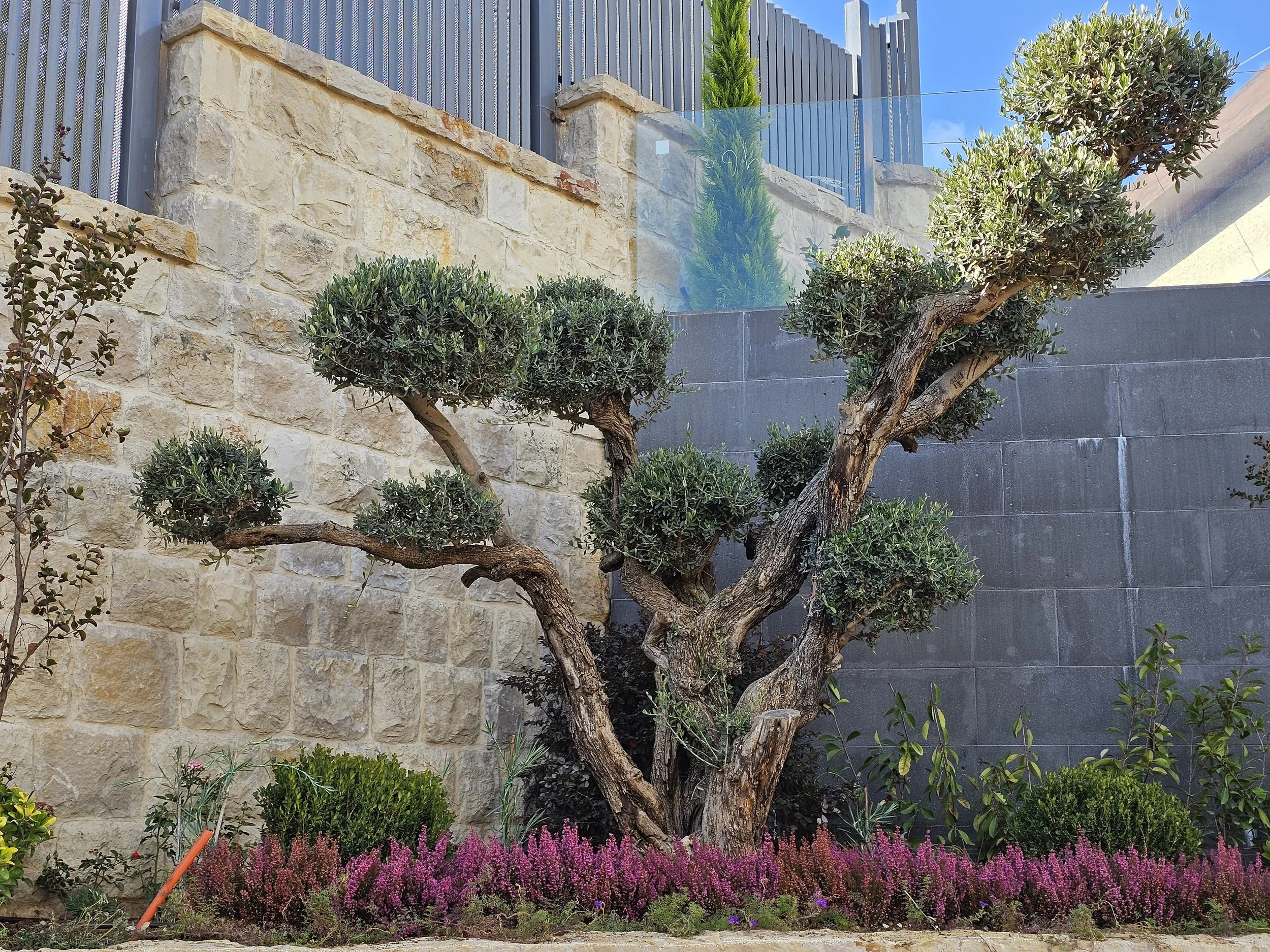 A landscaped garden with a stone wall, a small tree, and colorful flowering plants in the foreground, with a blue sky visible in the background.