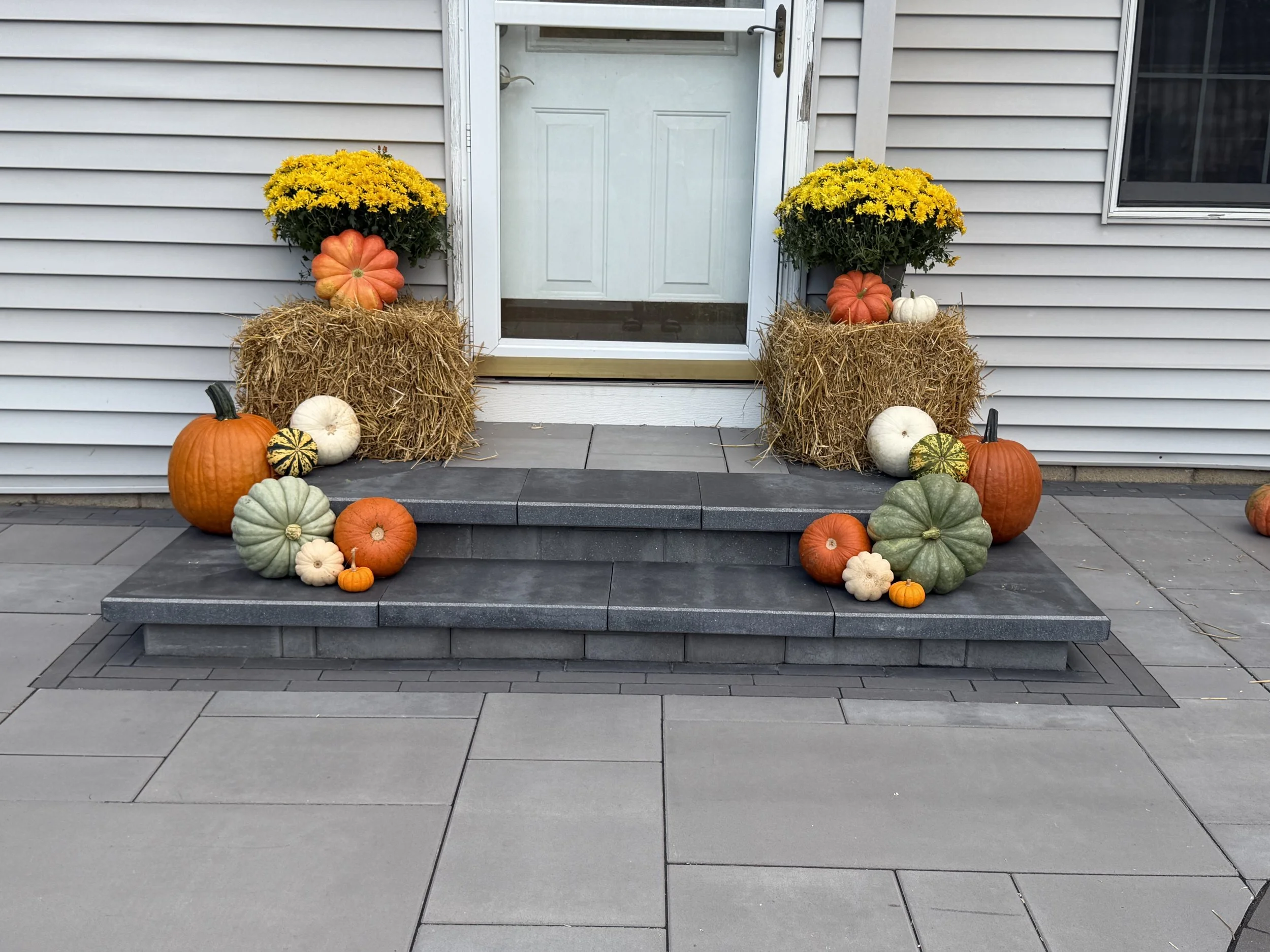 Petite Fall Package
