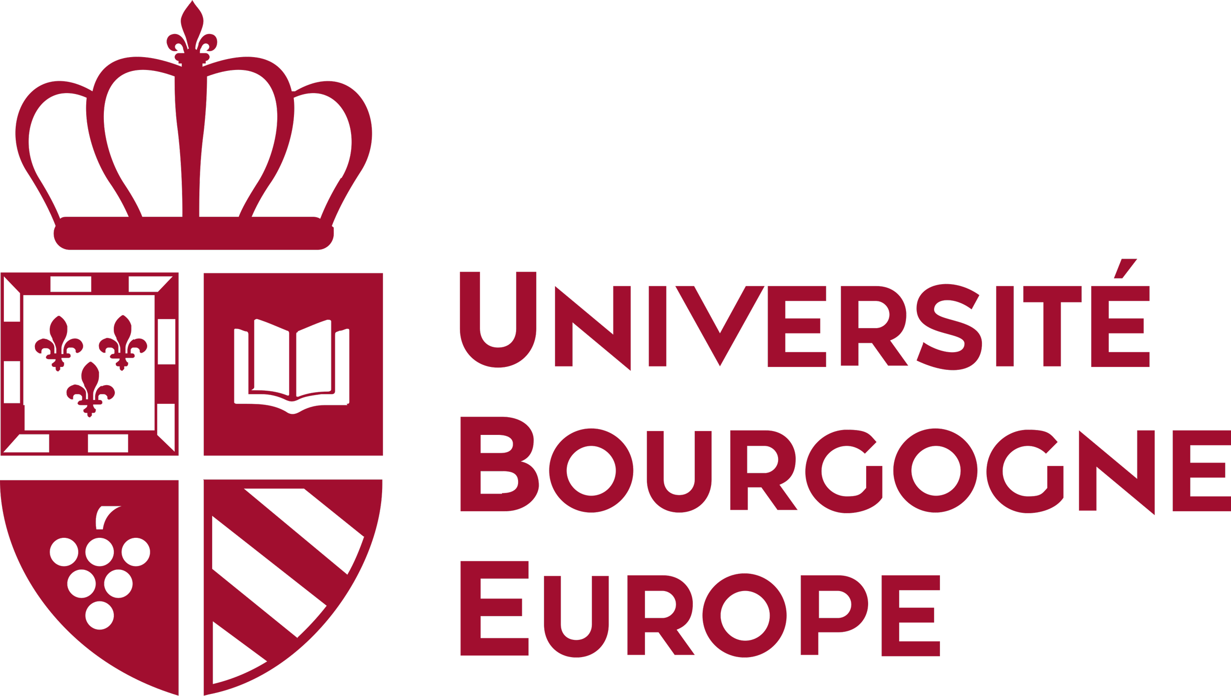 Logo de l'université de Bourgogne avec un symbole de croix et d'écussons.