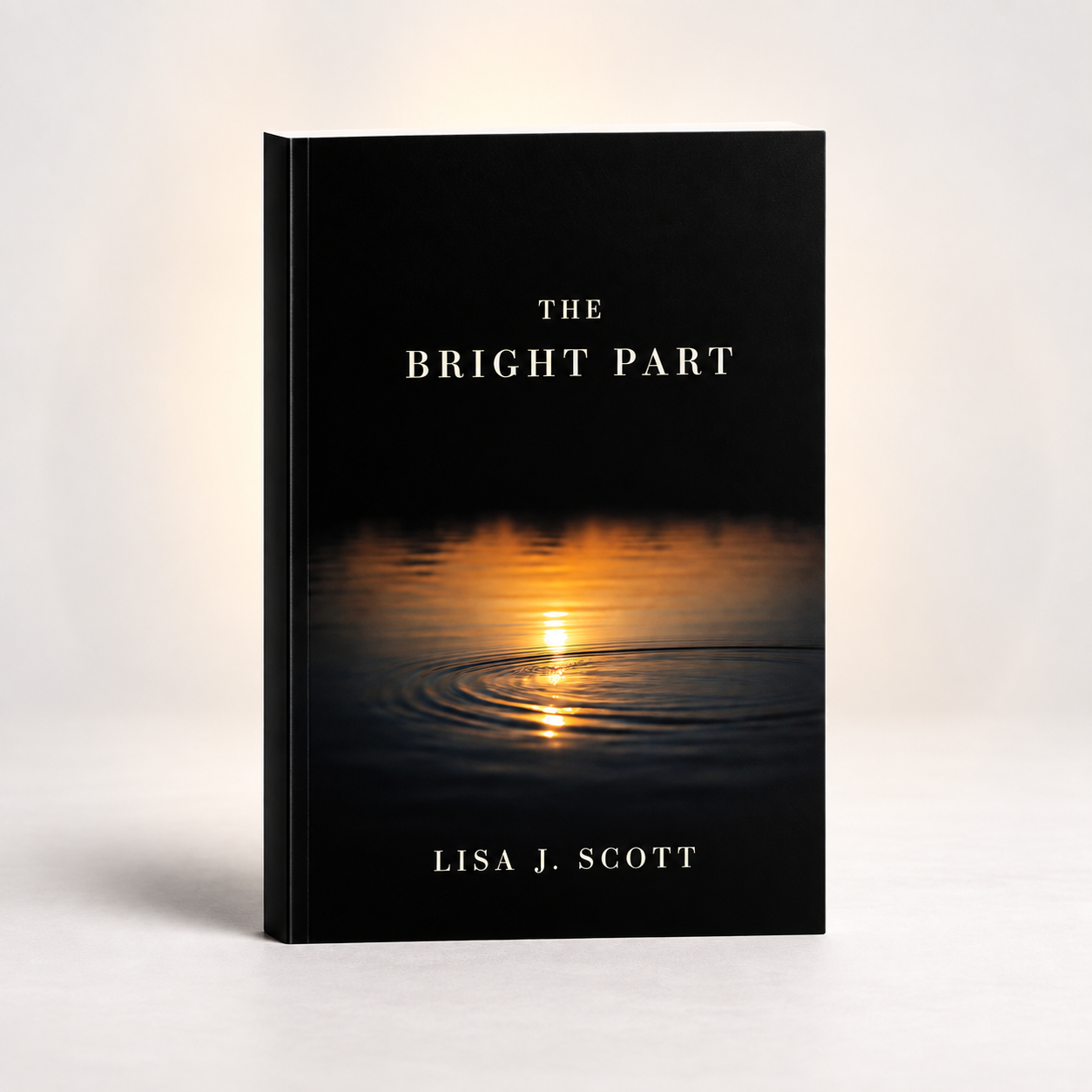 Book image for The Bright Part