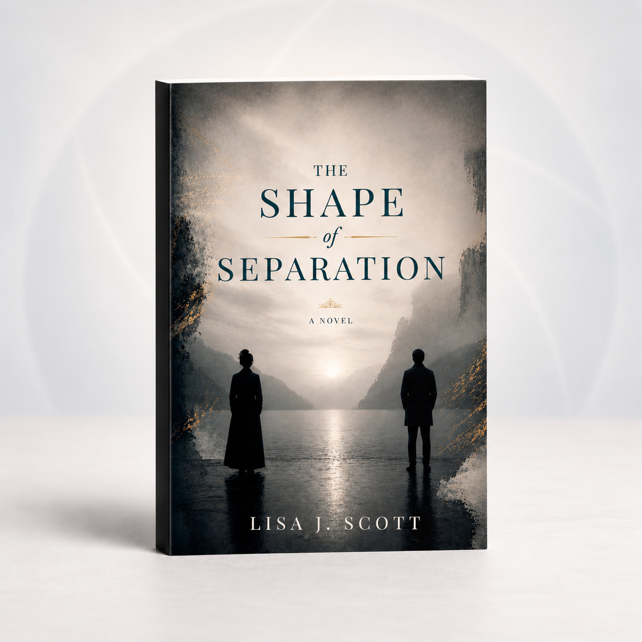 Book image for The Shape of Separation