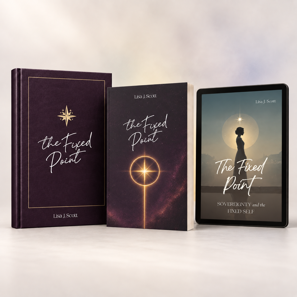 The Fixed Point book image