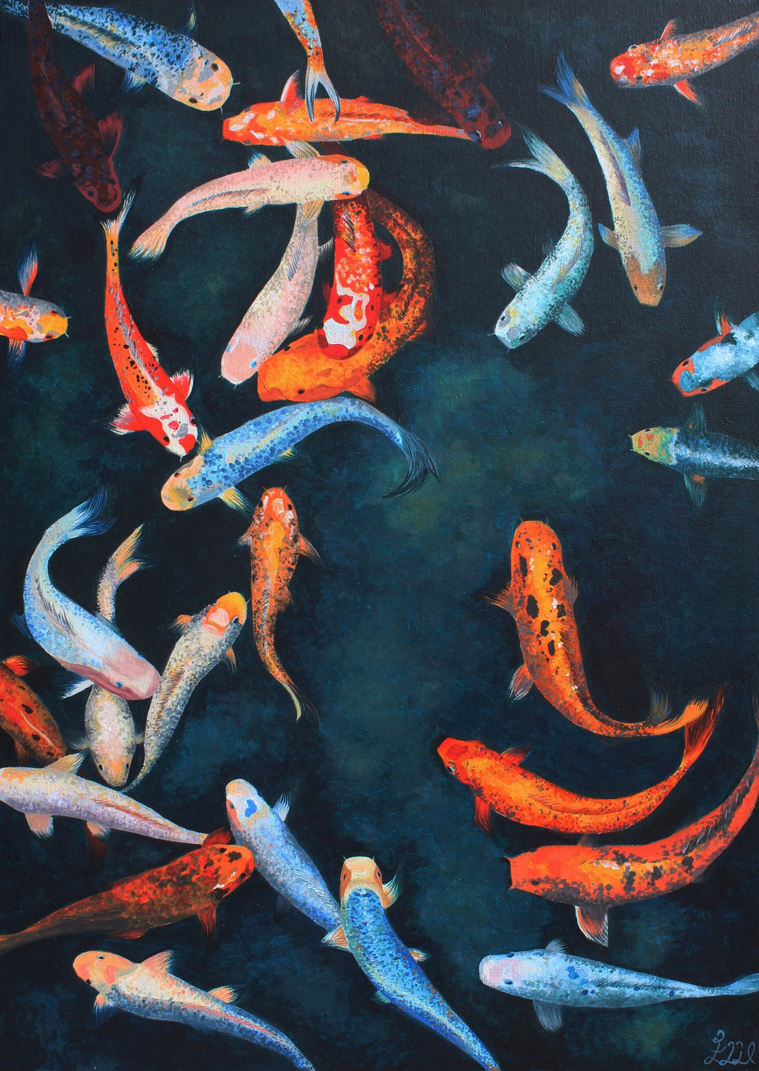 Koi Squared.jpg