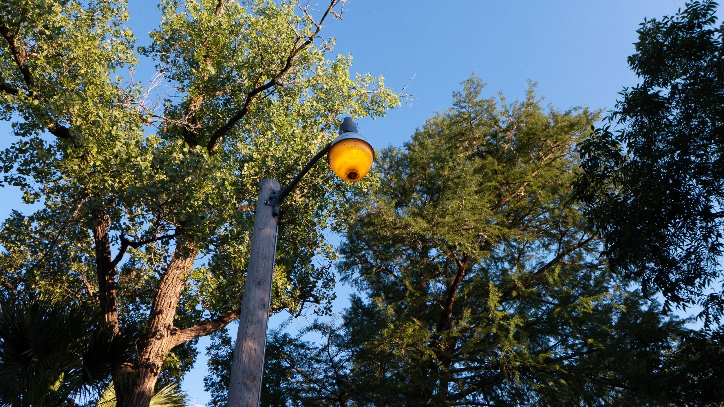 P1060235.jpg
