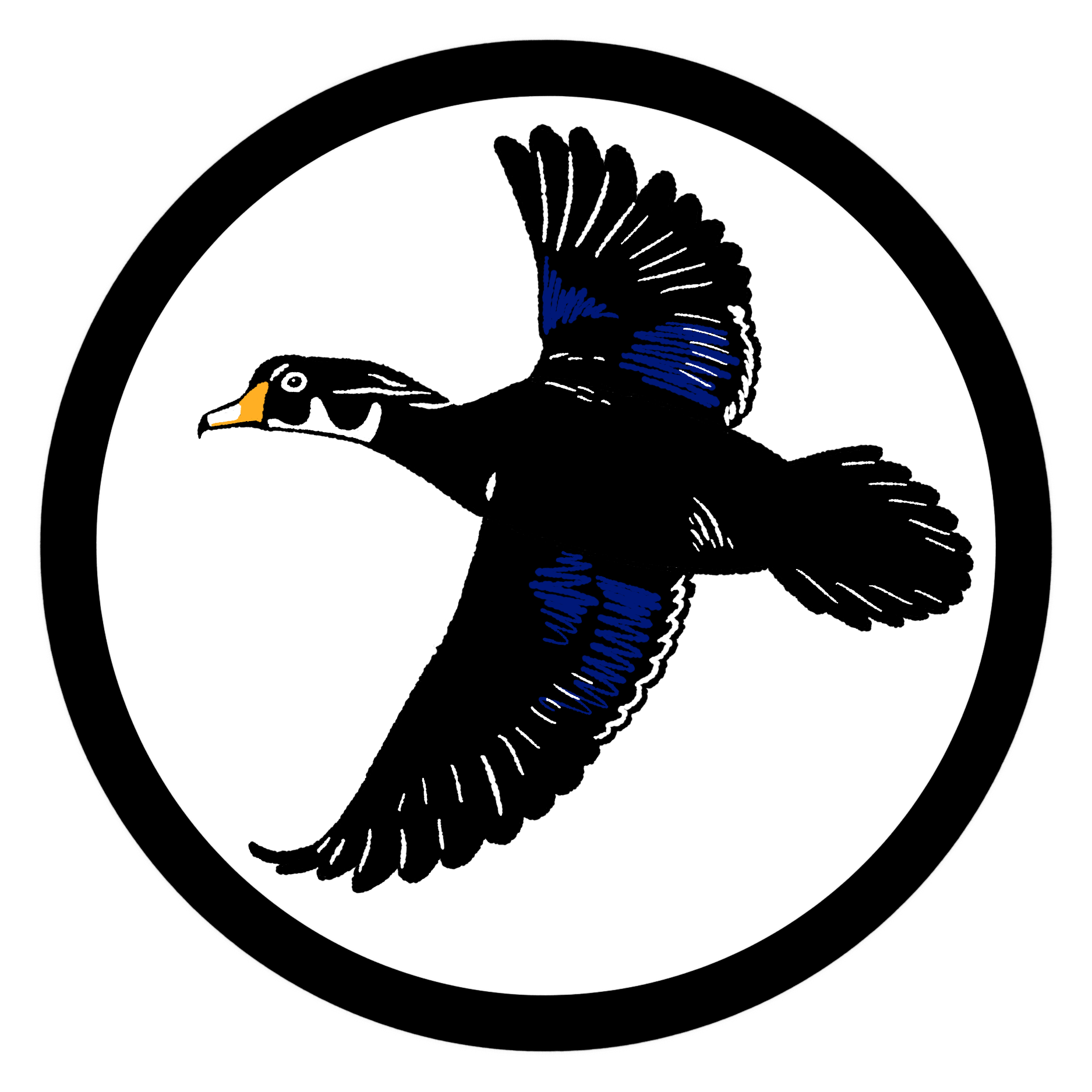 IMG_0894.PNG