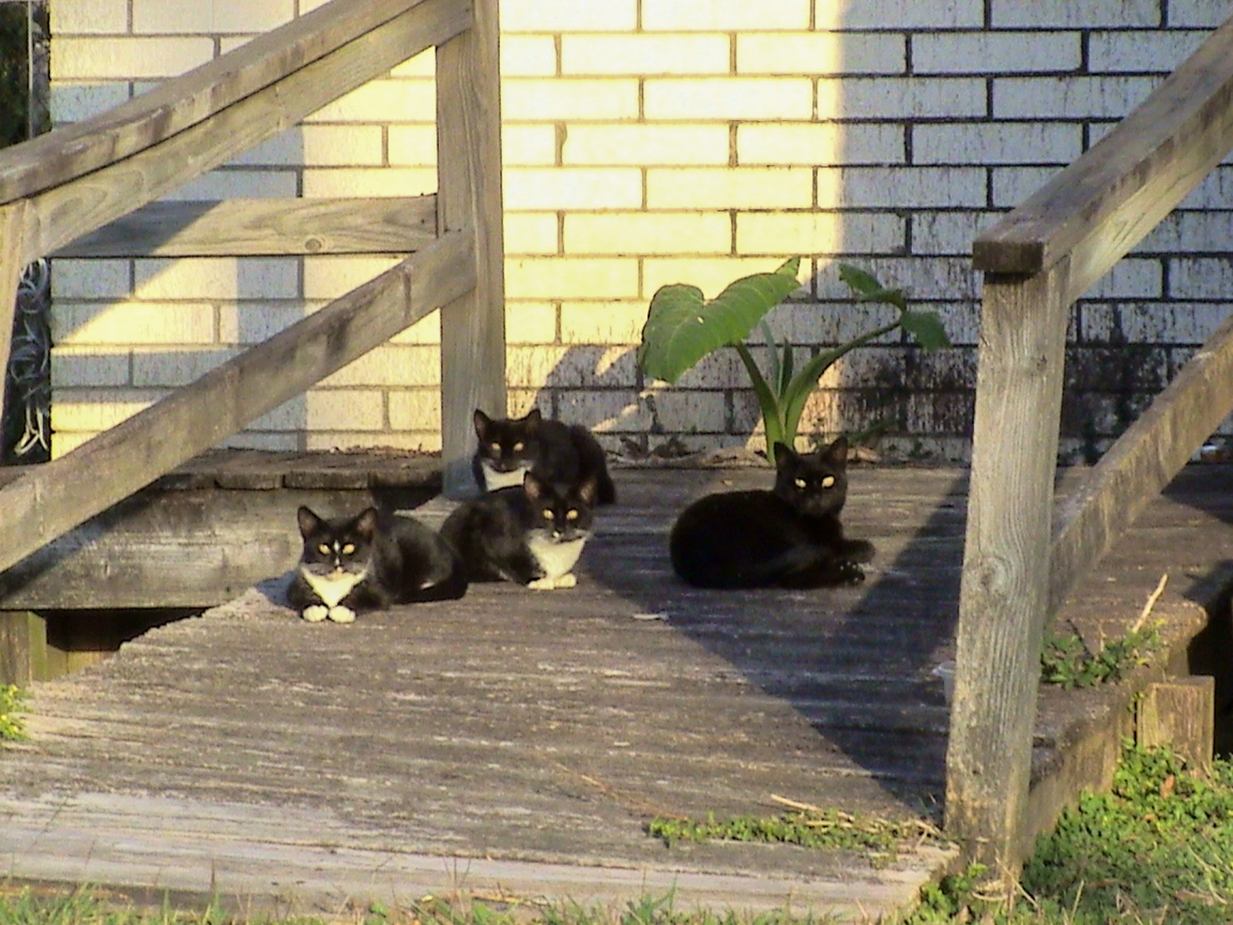 DSC00092.jpg