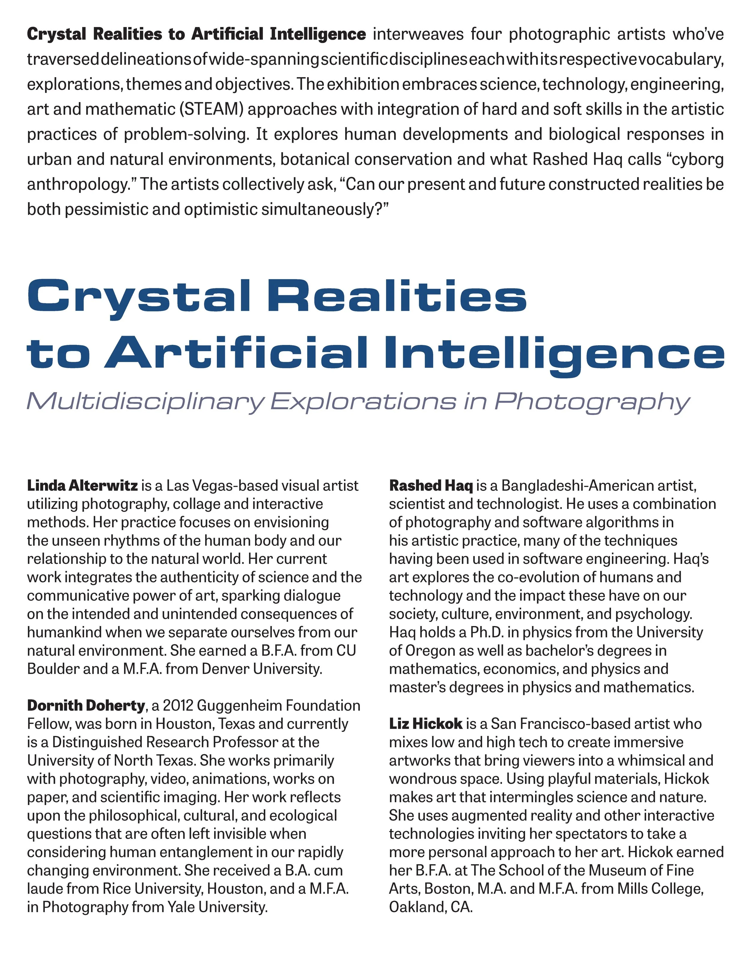 Crystal Realities Wall Panel Design.jpg