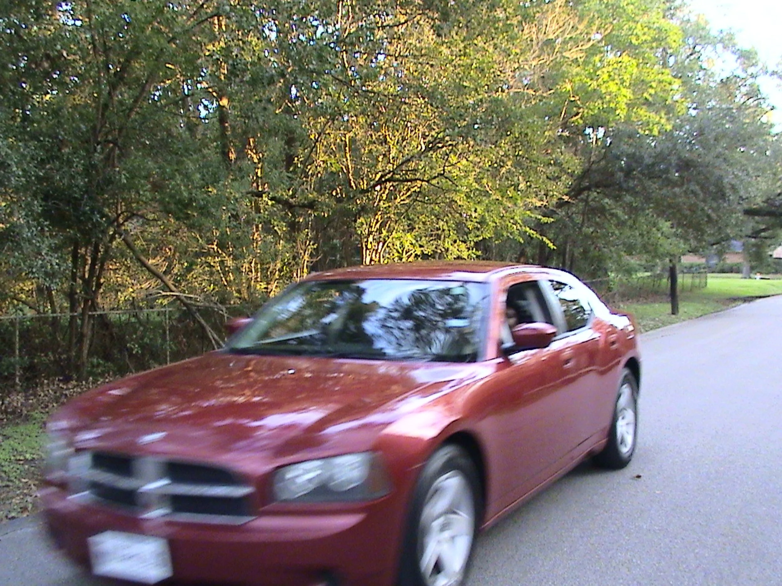 DSC00071.jpg