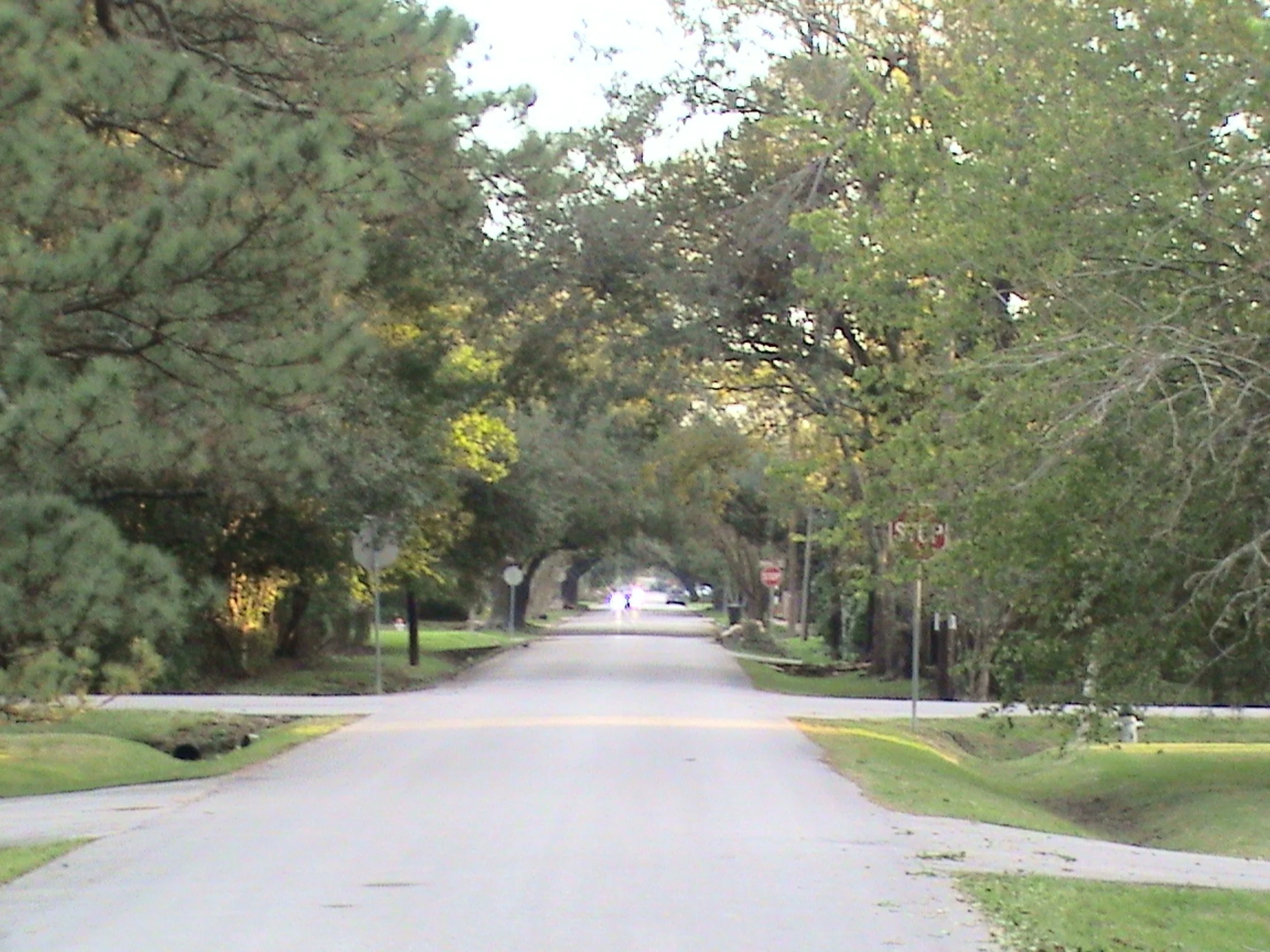 DSC00063.jpg