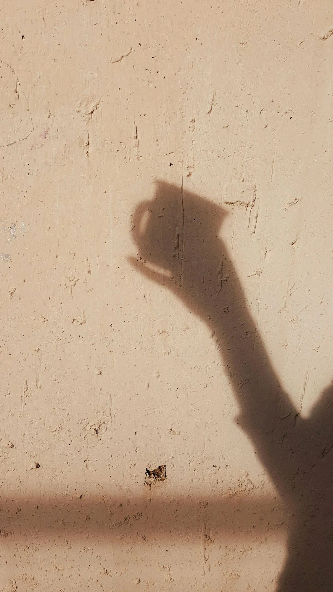 Shadow of a person's head and hand holding a drink on a beige textured wall.