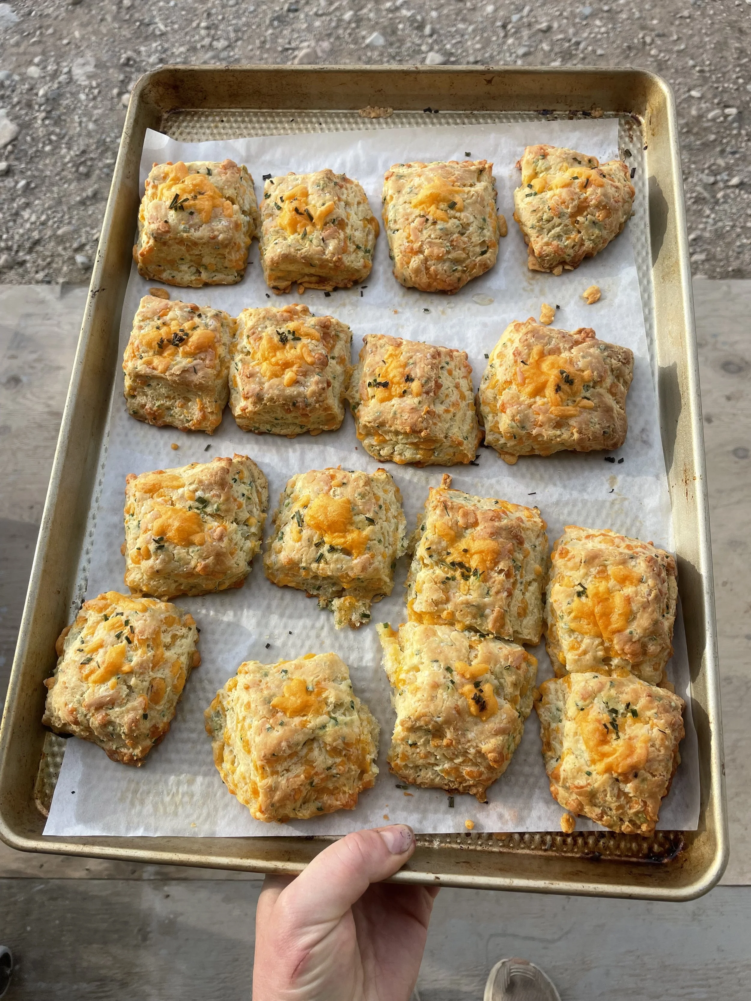 Tray of golden cheddar biscuits, ski trip catering for a Revelstoke chalet.