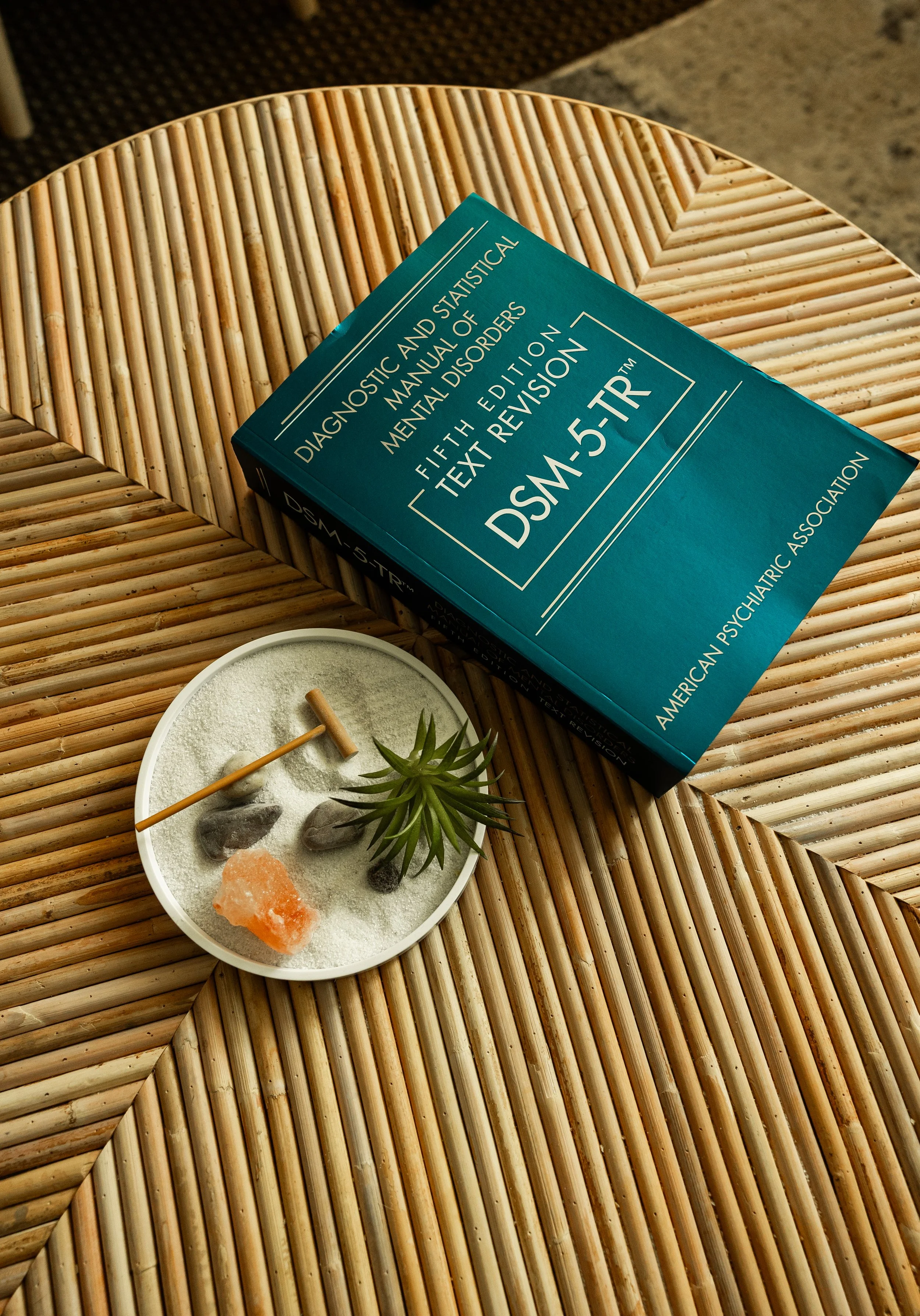 A book titled 'Diagnostic and Statistical Manual of Mental Disorders Fifth Edition Text Revision' on a woven bamboo table, with a small dish of salt, a few rocks, a succulent plant, and a salt rock.