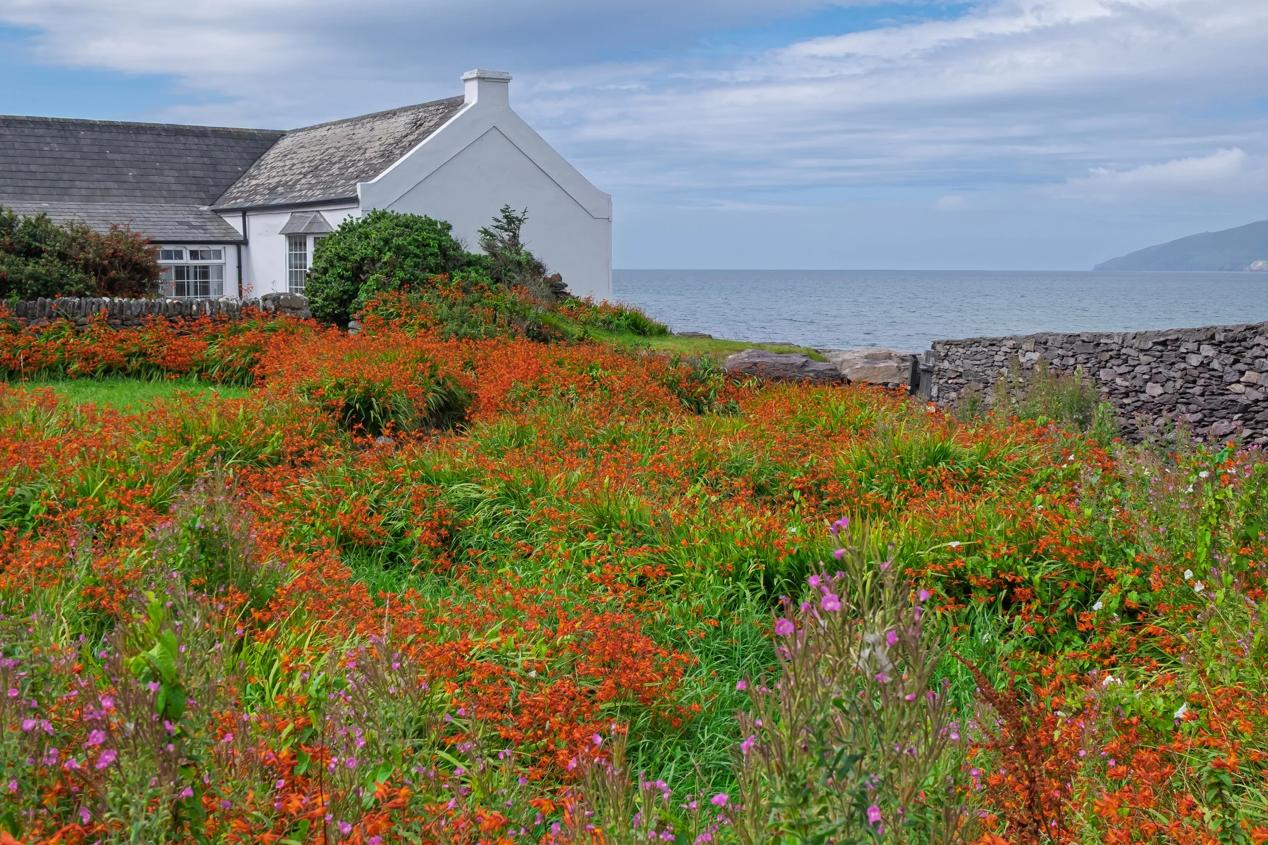 A white English seaside fisherman's cottage with a wildflower garden and a view of the English coastline.