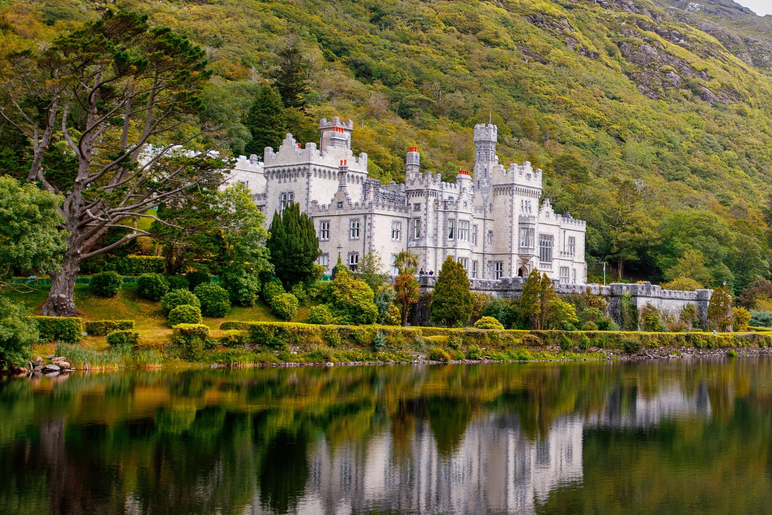 client travel: A MUSICAL ADVENTURE IN THE EMERALD ISLE