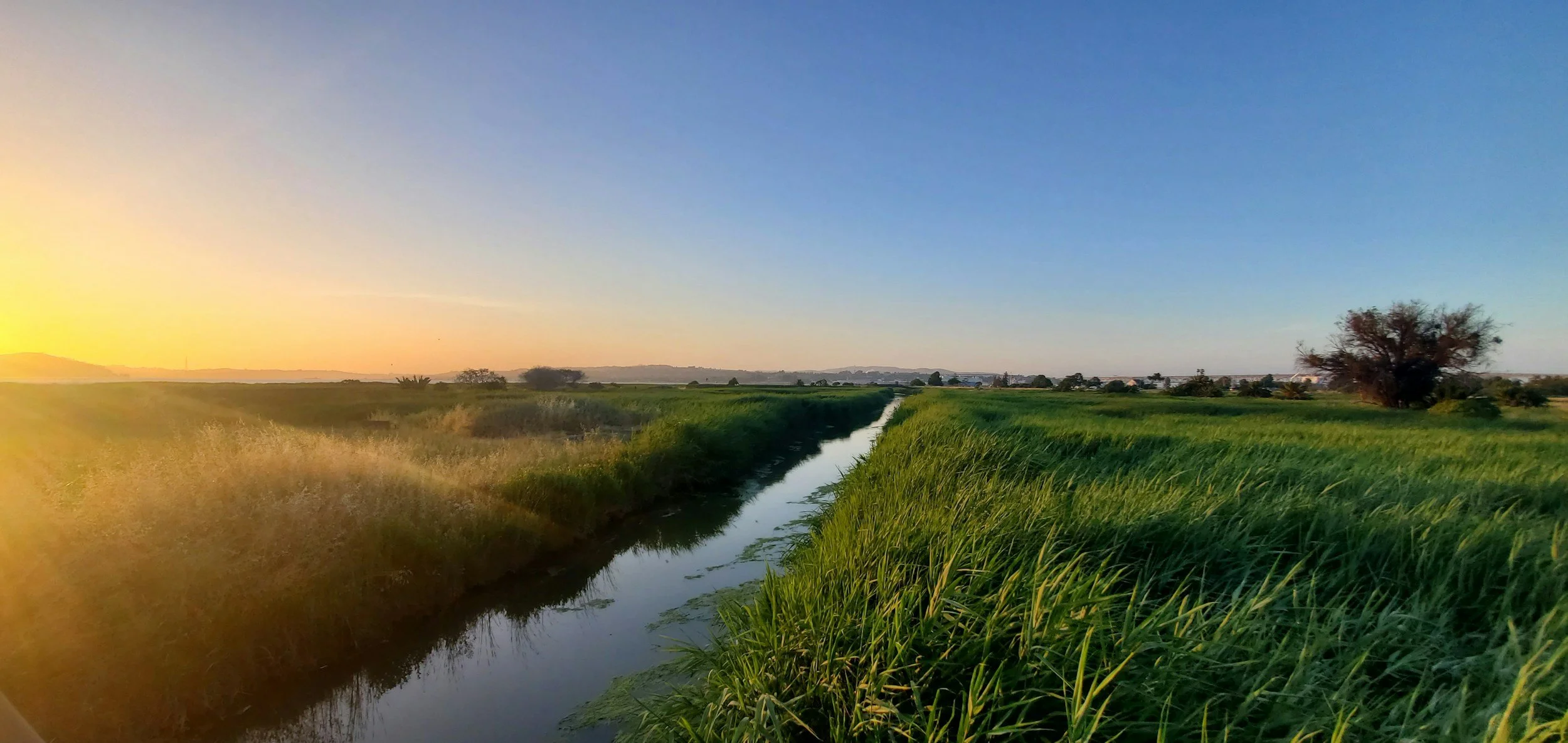 Sunset over a green landscape with a narrow waterway, a tree on the right, and distant hills under a clear sky.