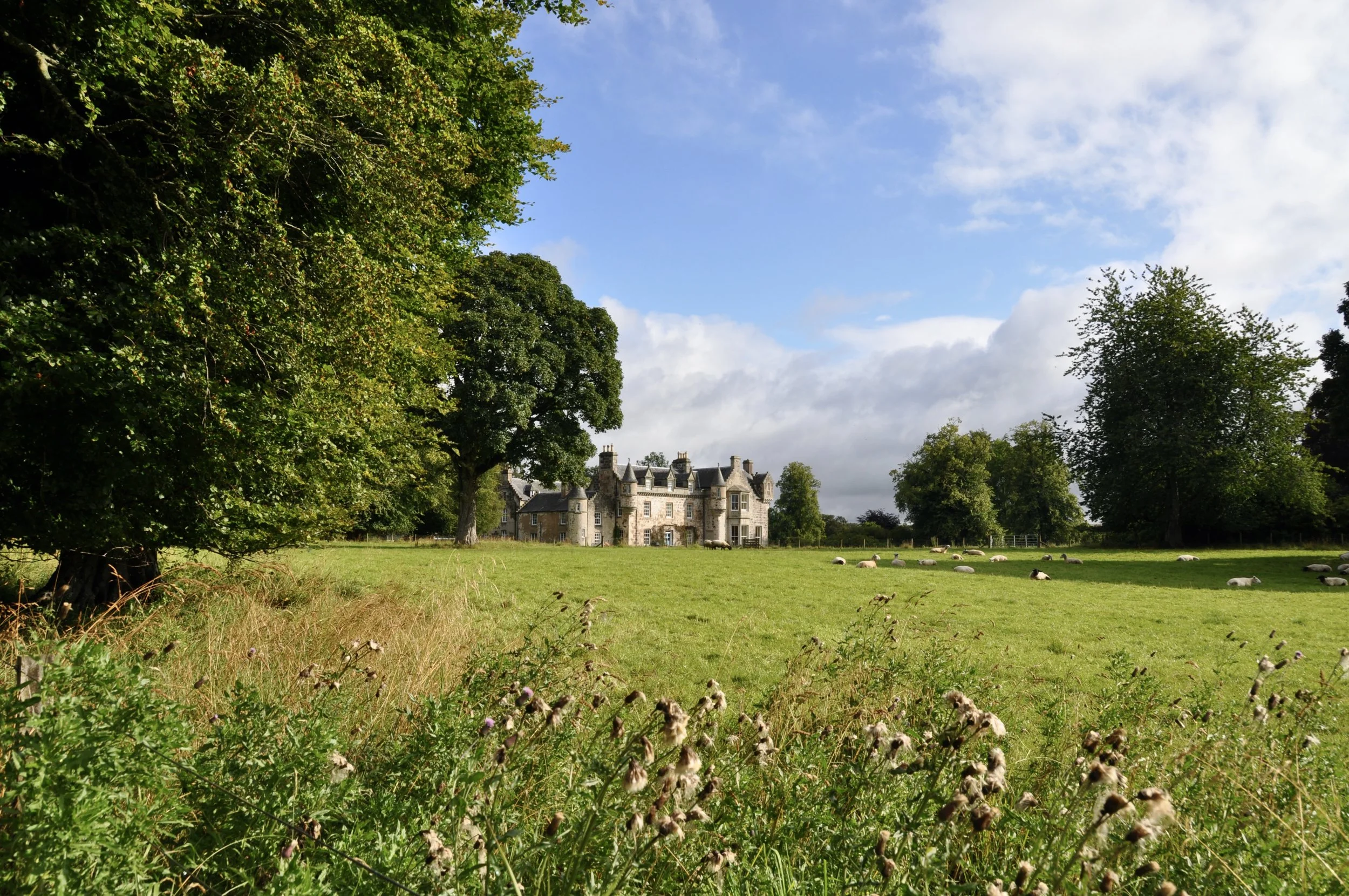 Wardhill Exterior 2 (1).JPG