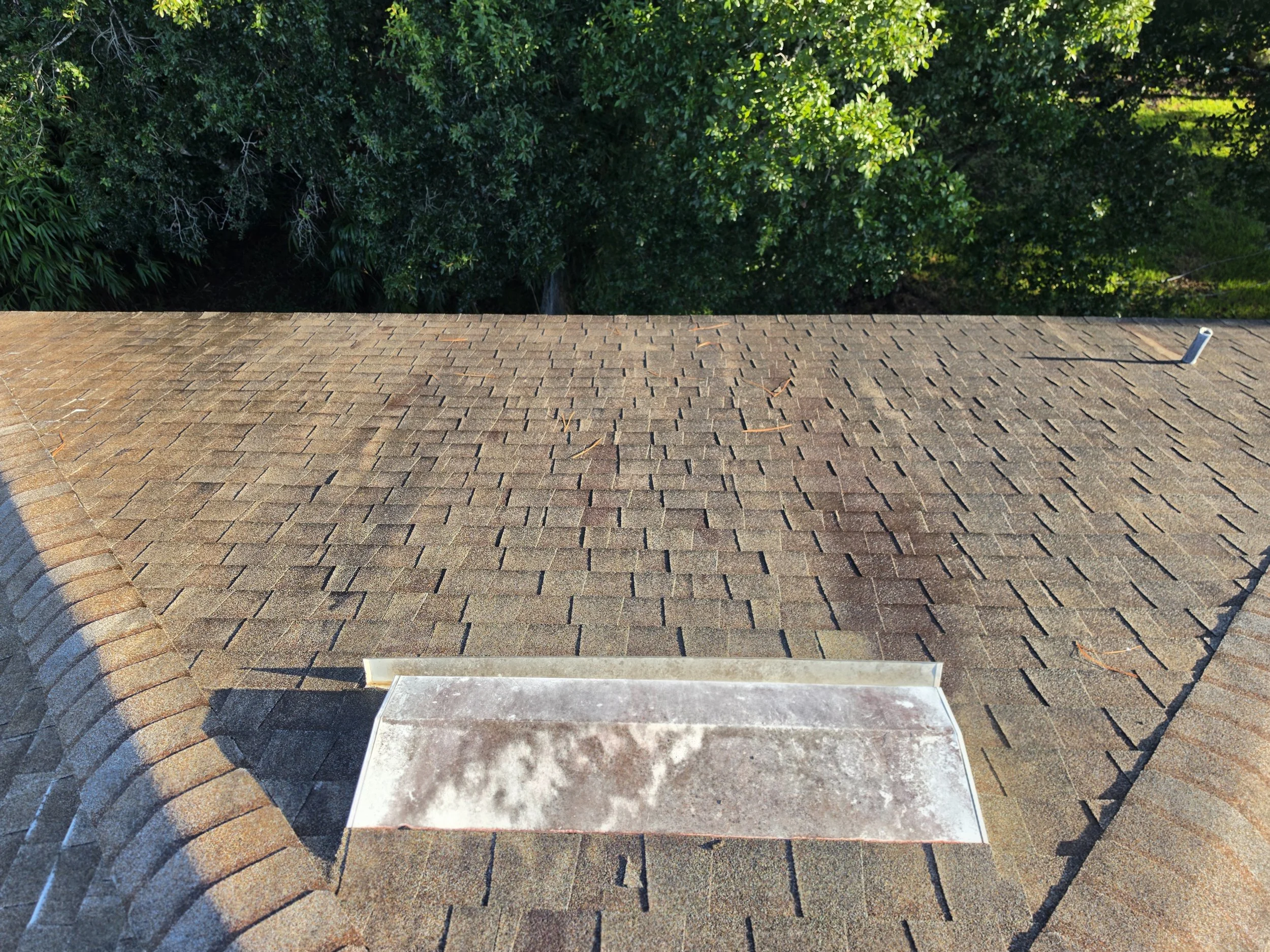 Residential roof before soft washing in Palm Bay Florida