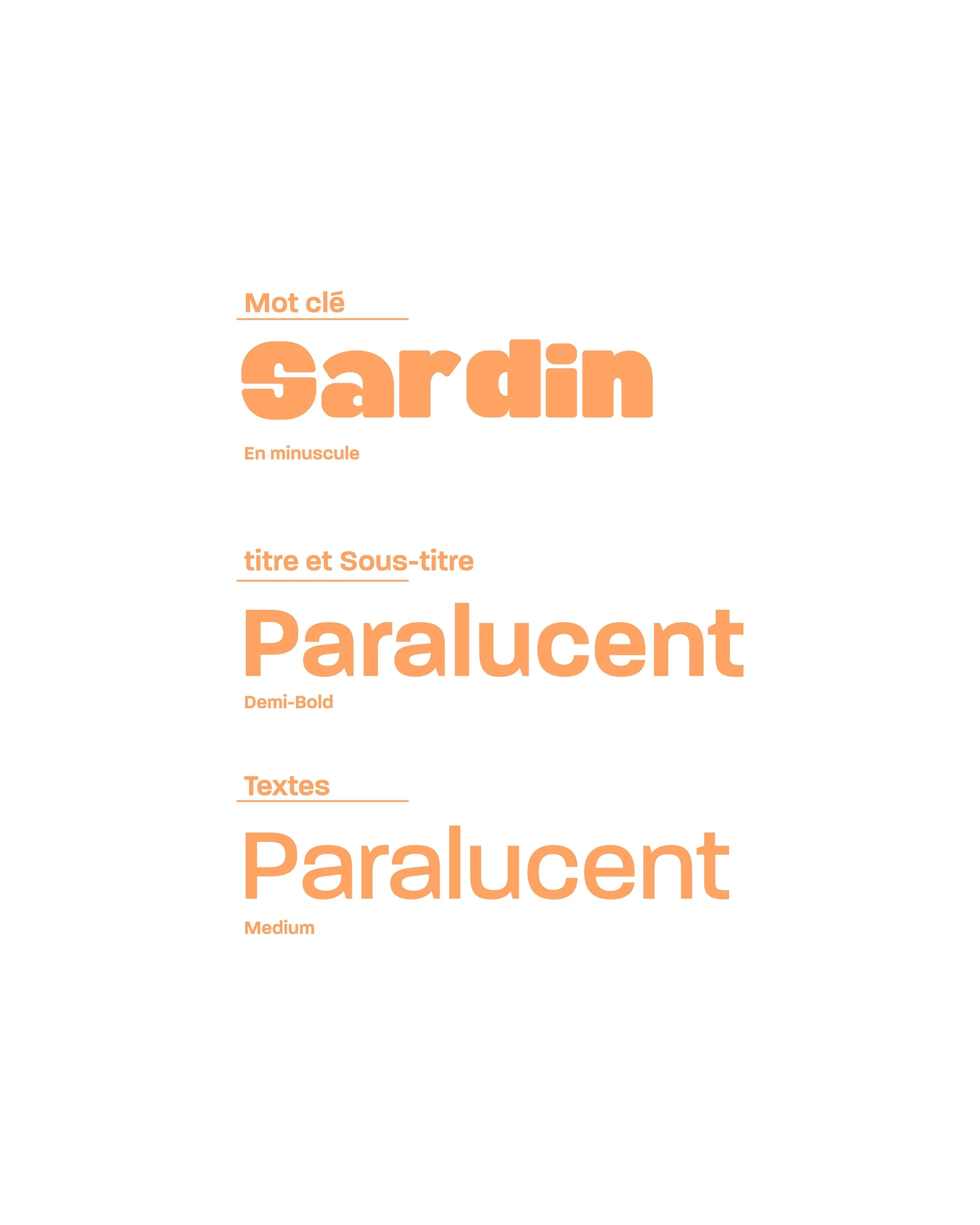 Sans titre - 4-04.jpg