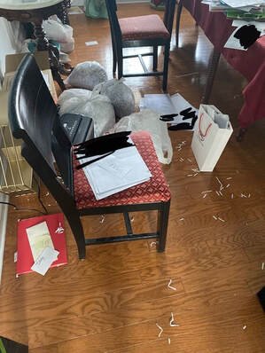 stephanie mess.jpg