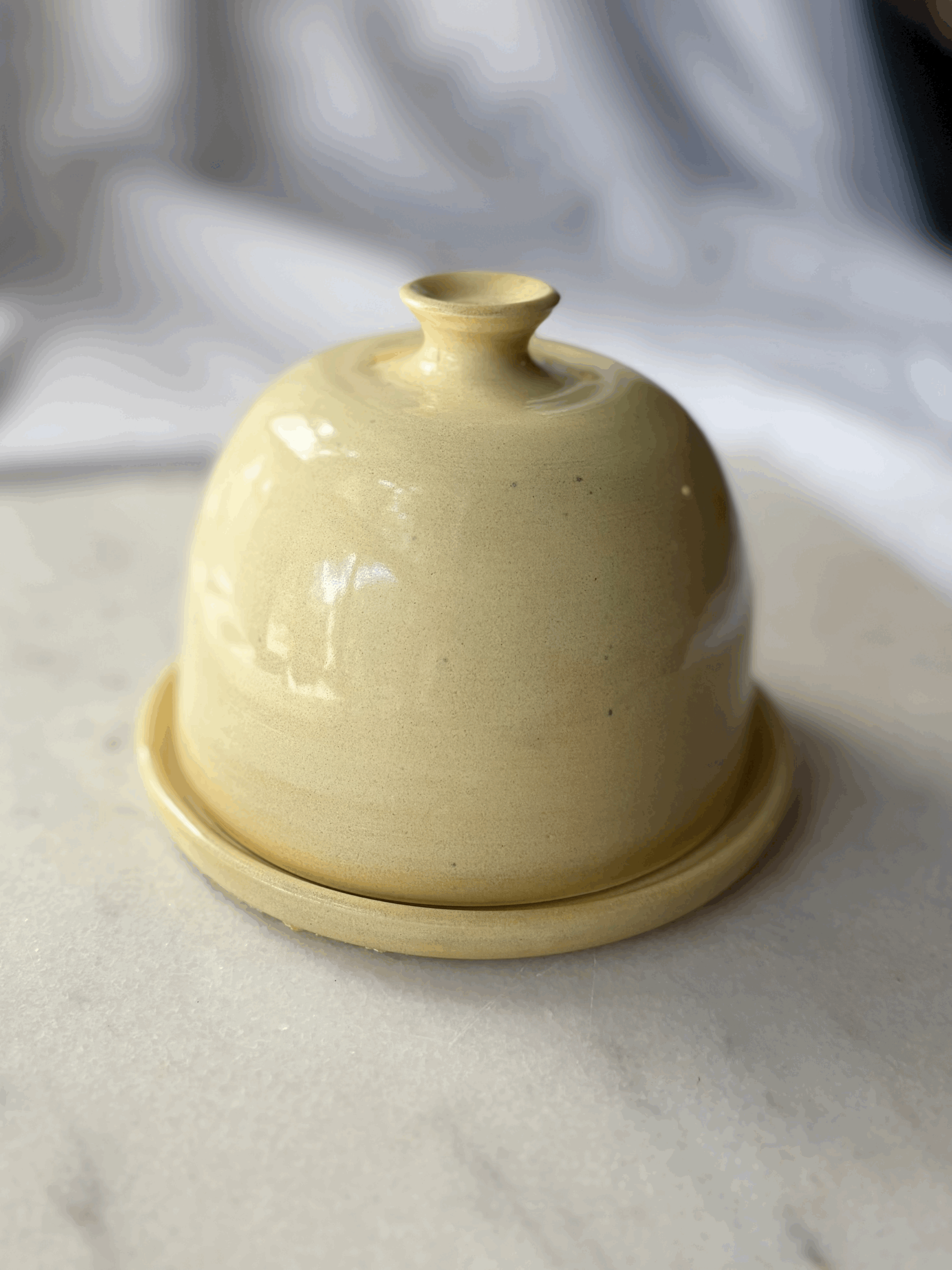 Butter Dish - French Yellow