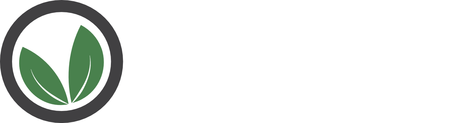 The Vine Church