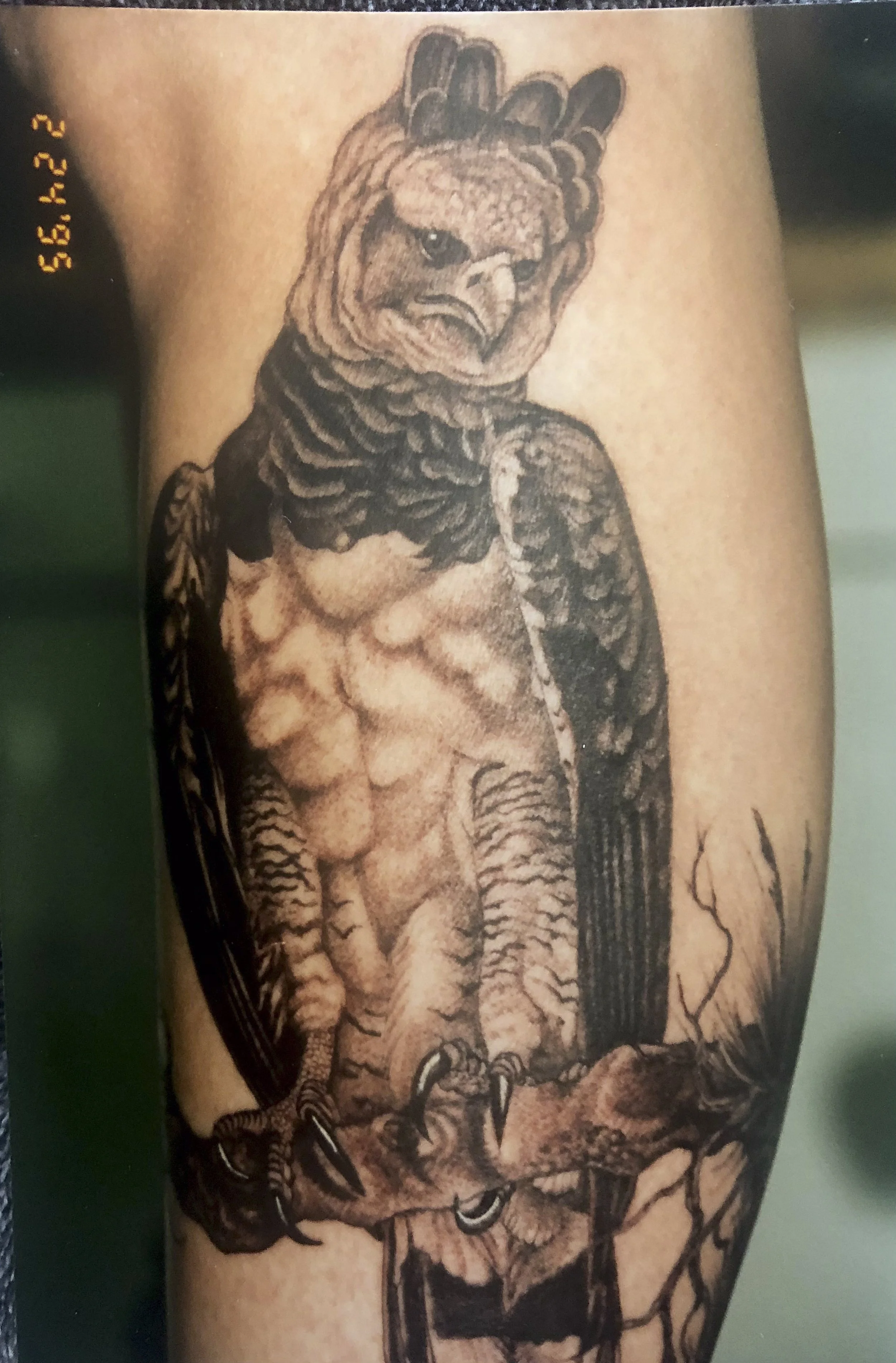 JEPG (42 of 75).jpg