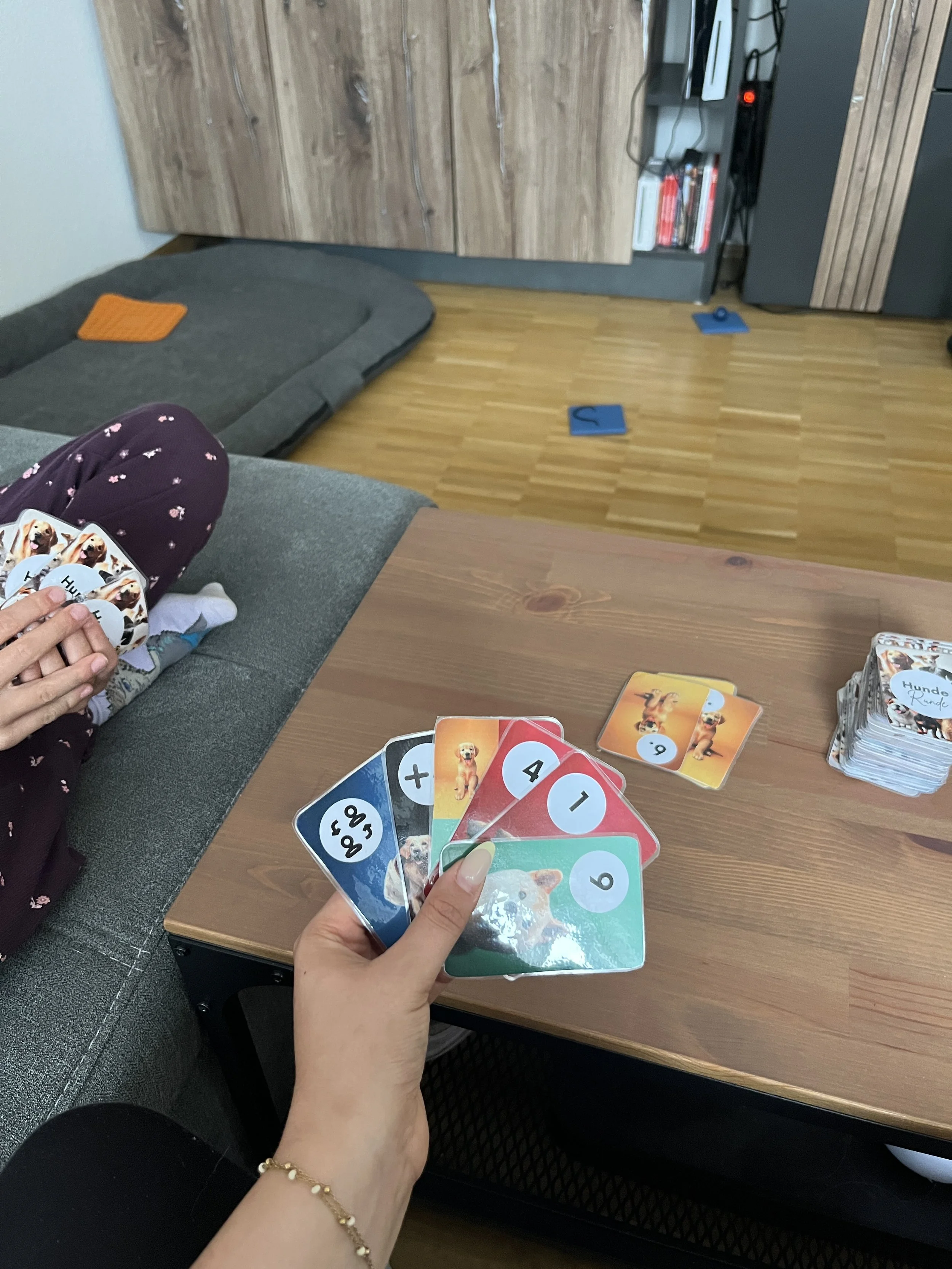 Einstieg in die Arbeit mit dem Hund durch spielen