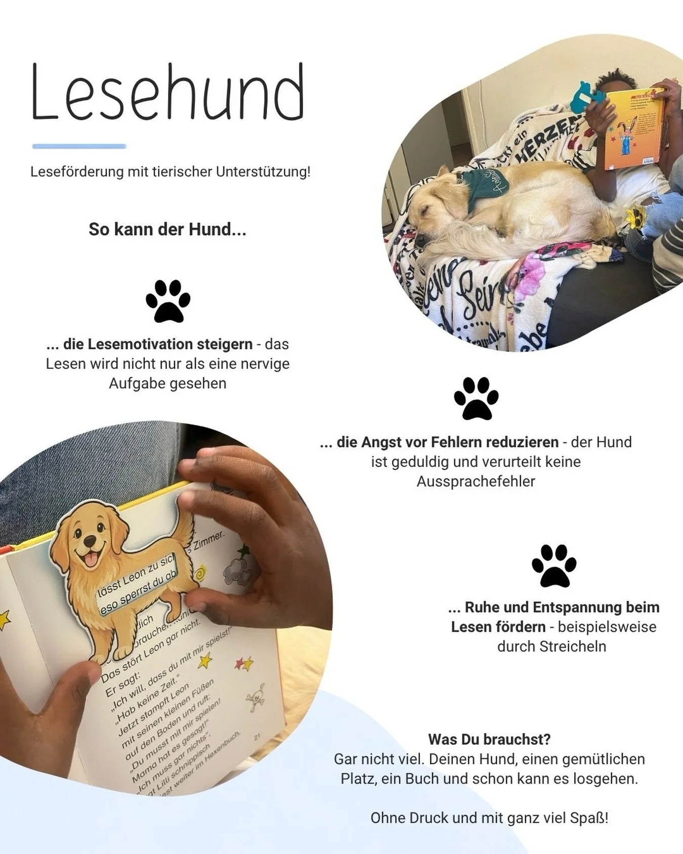L E S E H U N D 🐾

Lesen mit tierischer Unterst&uuml;tzung 🐶 Spa&szlig; statt Druck!

Meine Therapiebegleith&uuml;ndin darf hin und wieder als &bdquo;Lesehund&ldquo; beim Lesen &uuml;ben unterst&uuml;tzten. Das &auml;ndert so ziemlich alles: die Ki