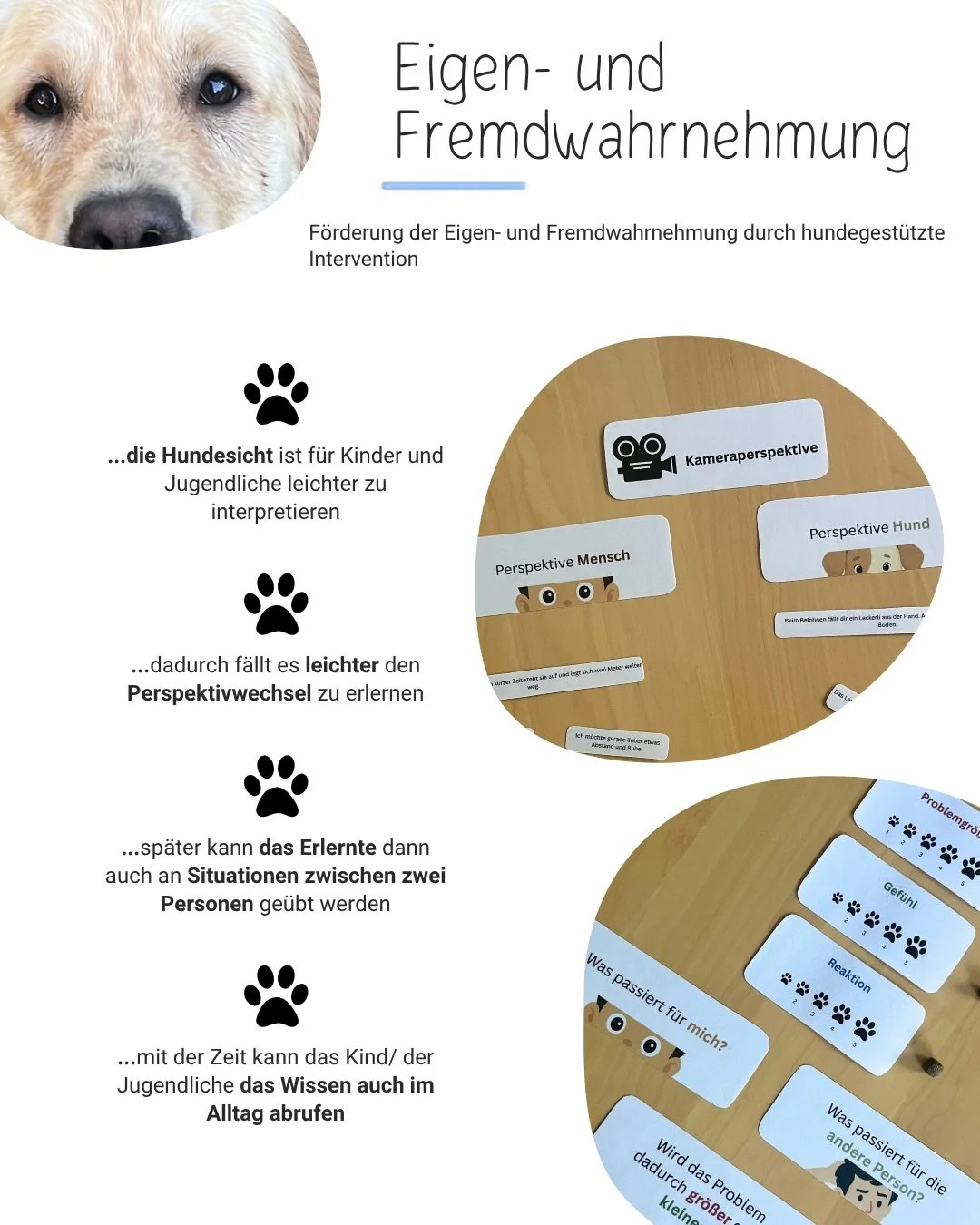 Eigen- und Fremdwahrnehmung 
&mdash;&mdash;&mdash;

Tiergest&uuml;tzte Interventionen k&ouml;nnen dabei helfen die Fremd- und Selbstwahrnehmung zu f&ouml;rdern 🐾

Kindern/Jugendlichen f&auml;llt es oftmals leichter tierisches Verhalten anhand von Me