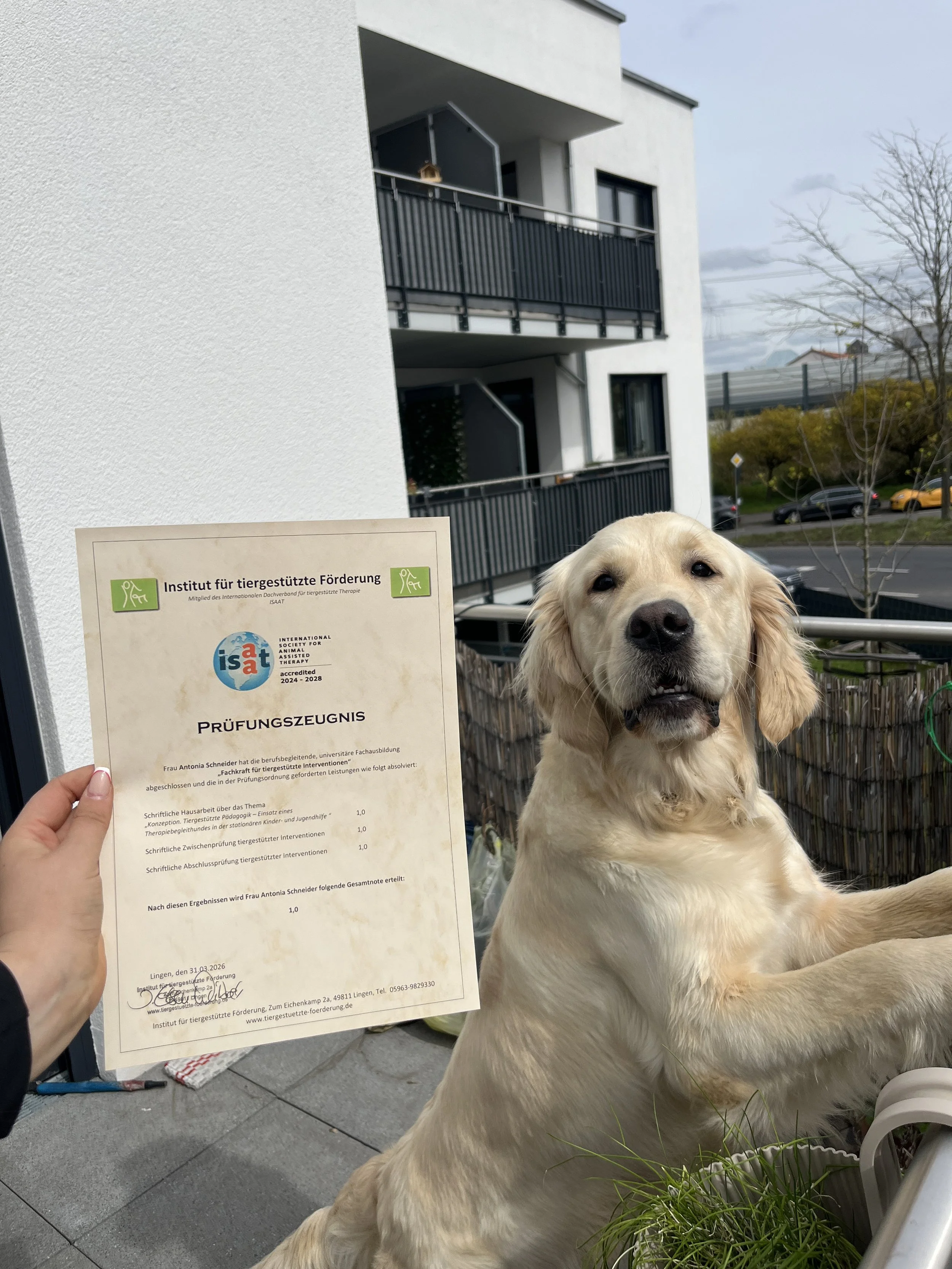 Erfolgreicher Abschluss der Weiterbildung "Fachkraft für tiergestützte Interventionen"