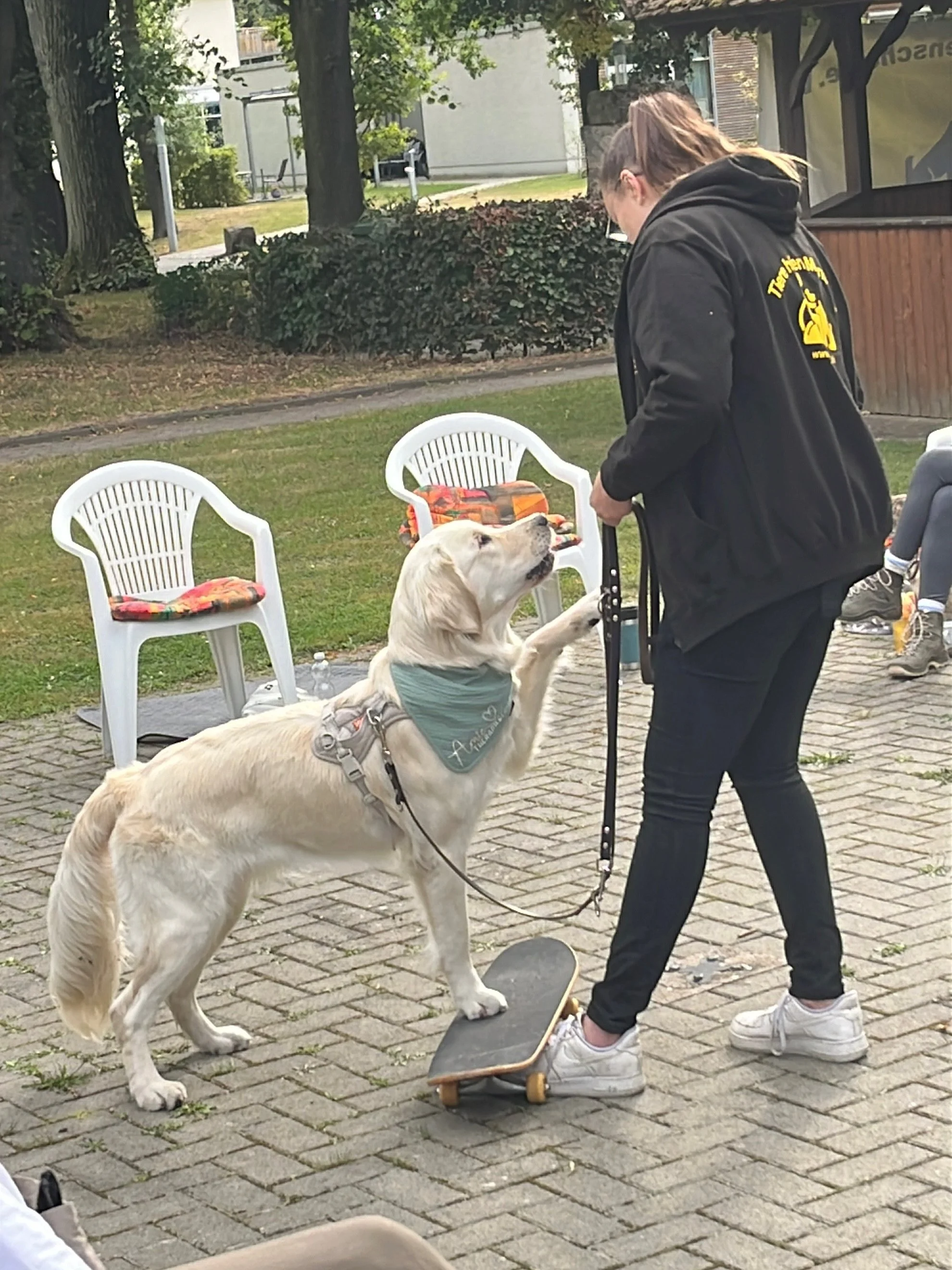 Eignungseinschätzung im Verein "Tiere helfen Menschen e.V."