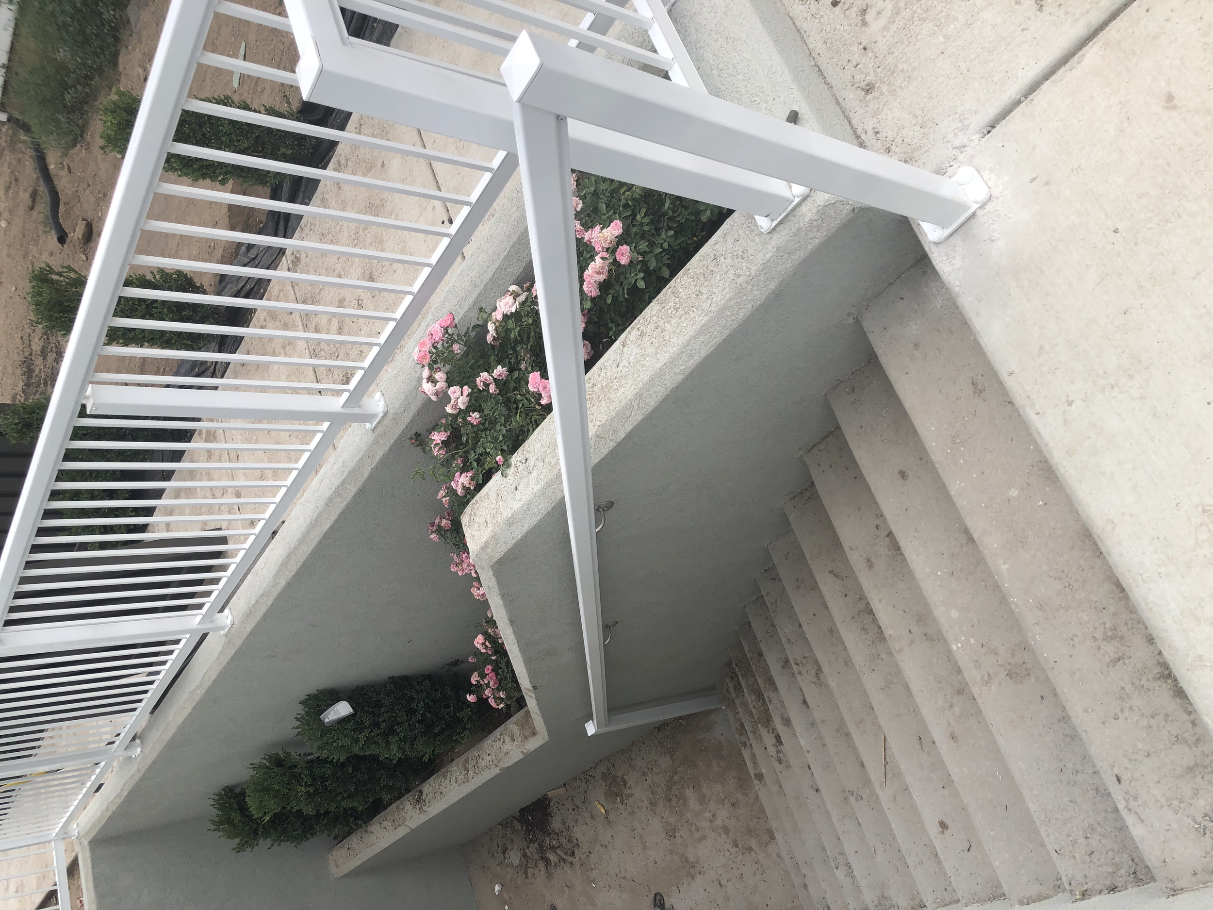 Concrete staircase south view with a concrete railing and a flower bed with pink flowers and green bushes at the bottom of the staircase.