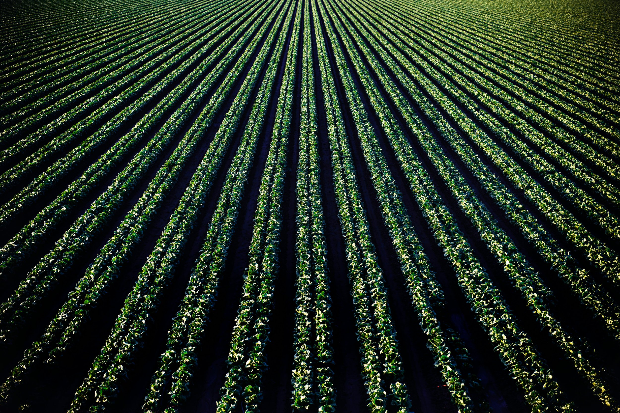 Continuity Conversations, Ep 1: Knowing the value of the farm